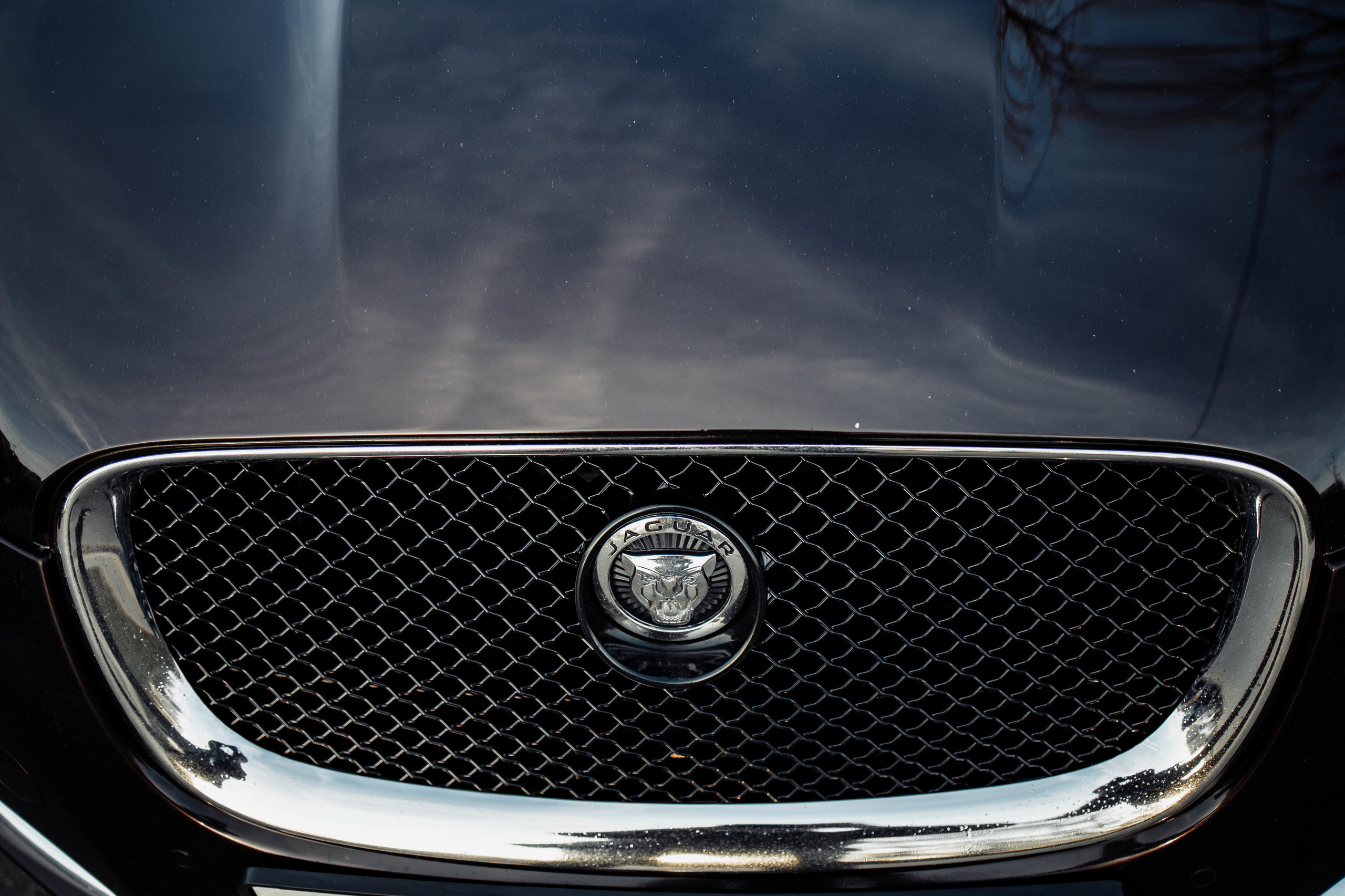 Свадьба в торговом центре Макси Смоленск. Свадебный фотограф Вашкевич Денис