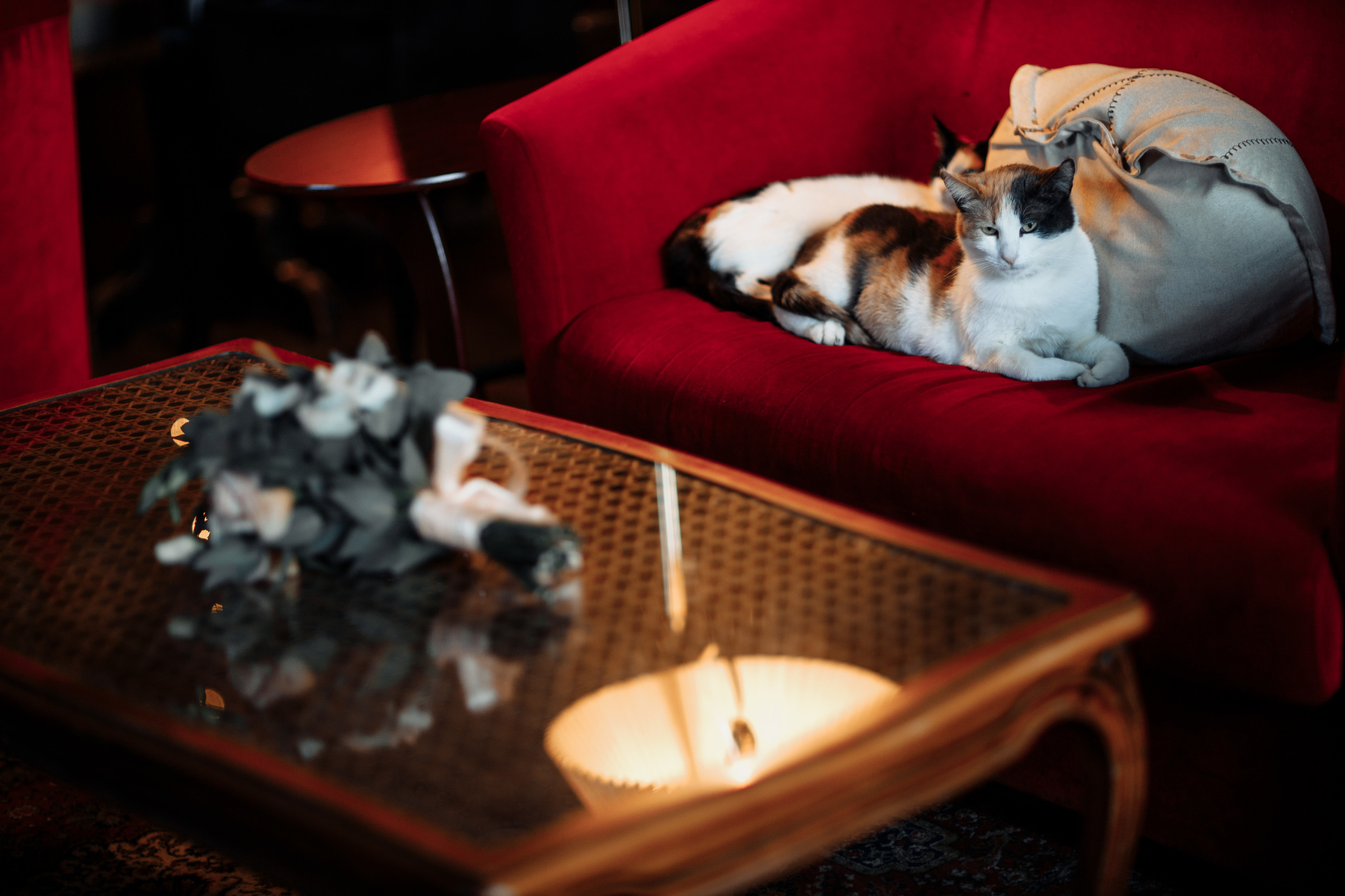 Подборка фотографий со свадьбы. Свадебный фотограф Вашкевич Денис