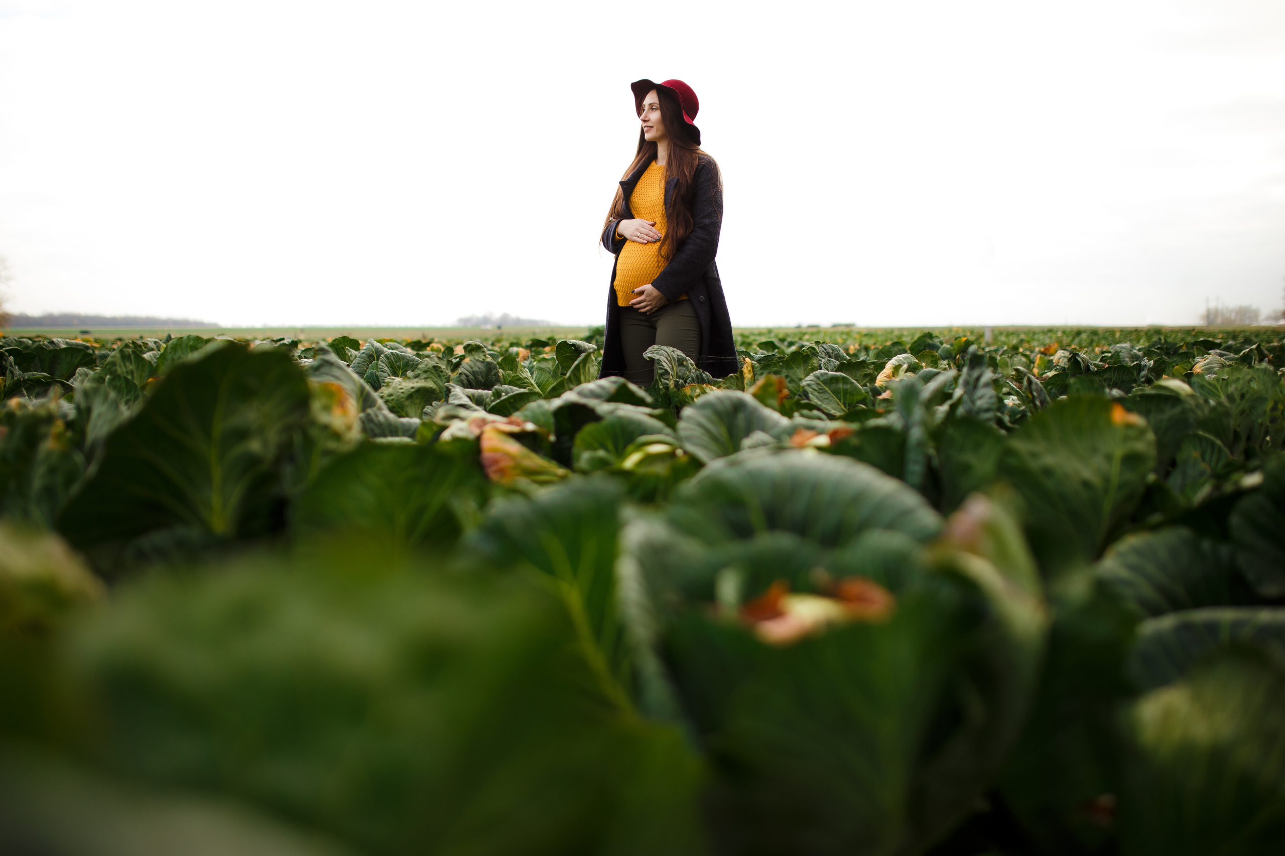 Услуги Андрей Павлов. Свадебный и семейный фотограф Витебск, Минск, Андрей Павлов