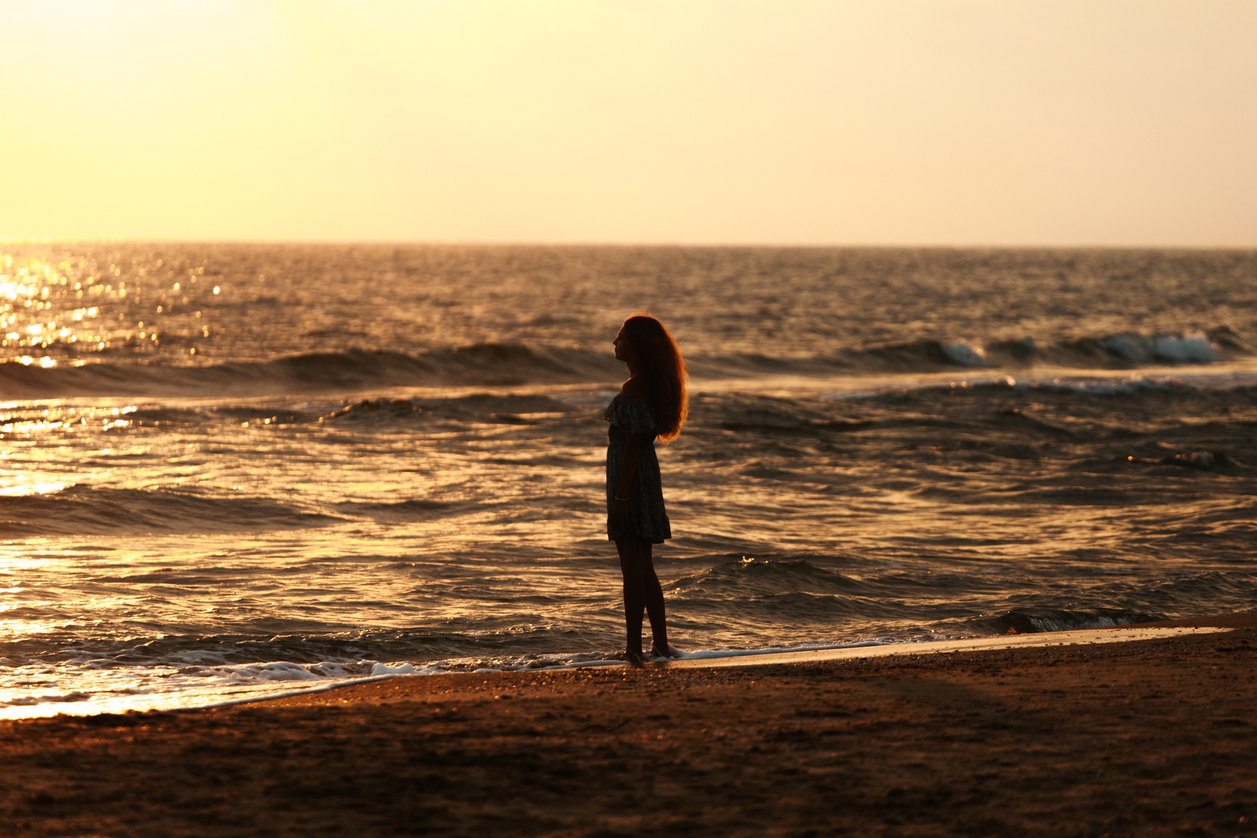 Контакты. Алексей Шмуль