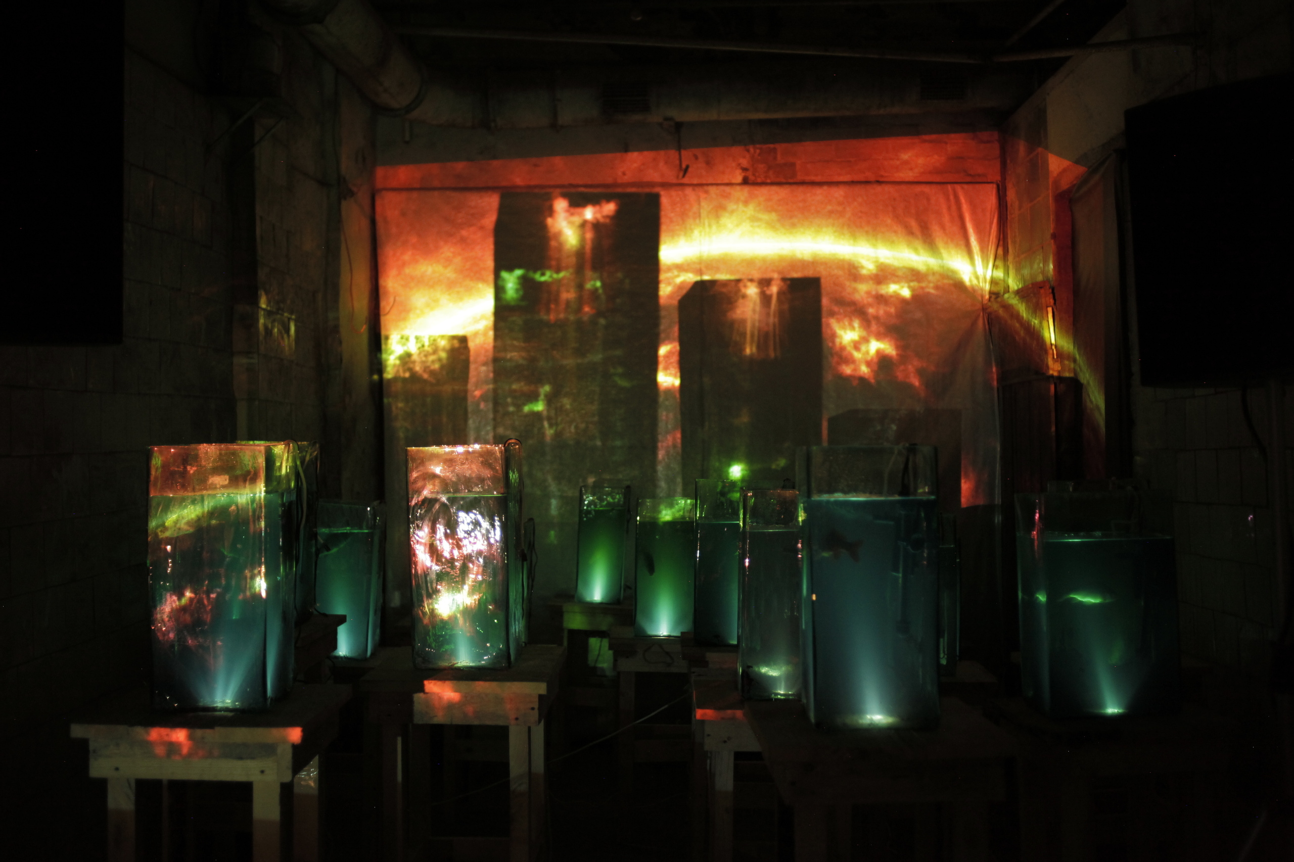 Интервью с Владимиром Селезневым