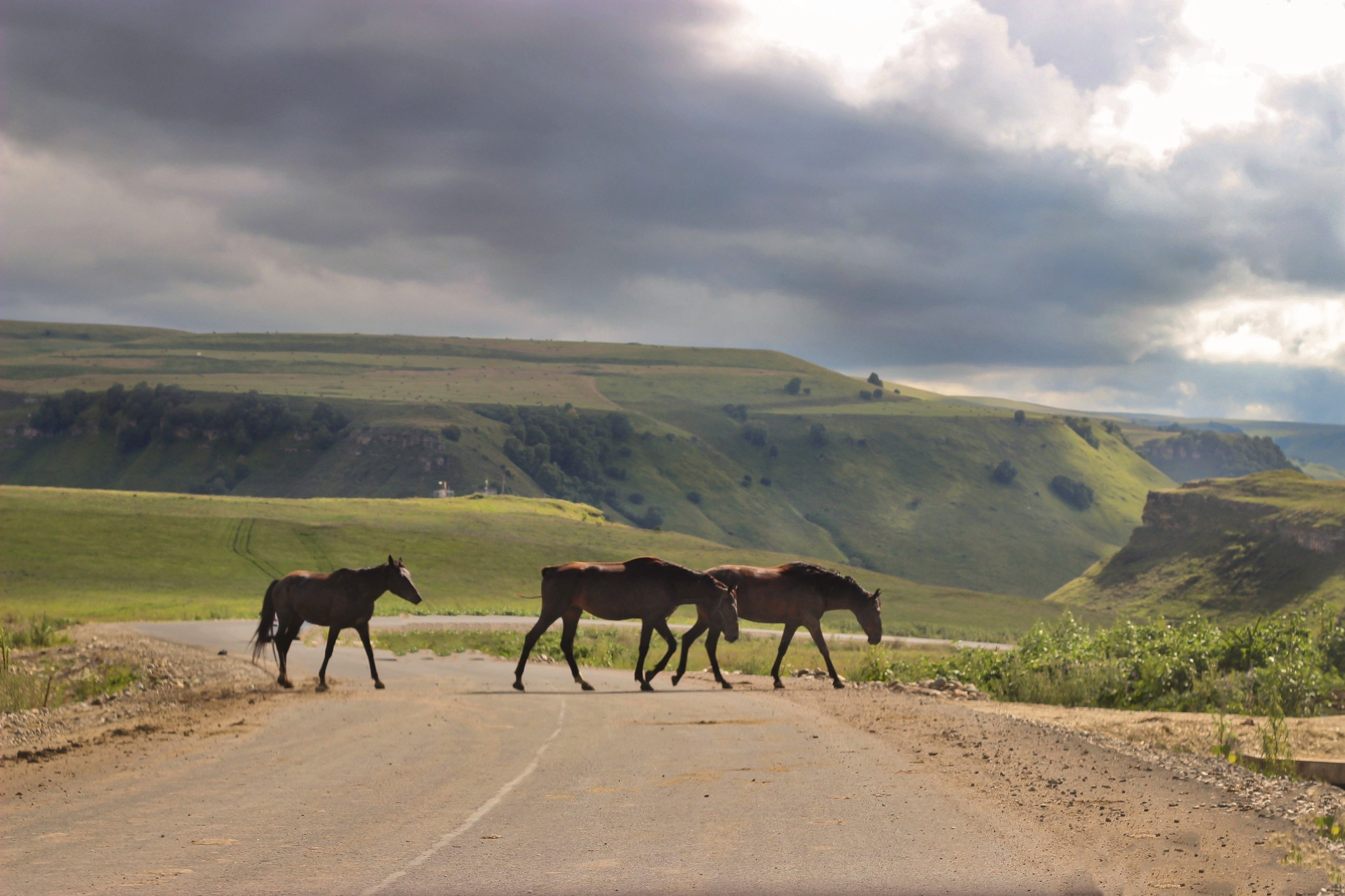 Обо мне. Александрина Аксенова — свадебный фотограф Москва