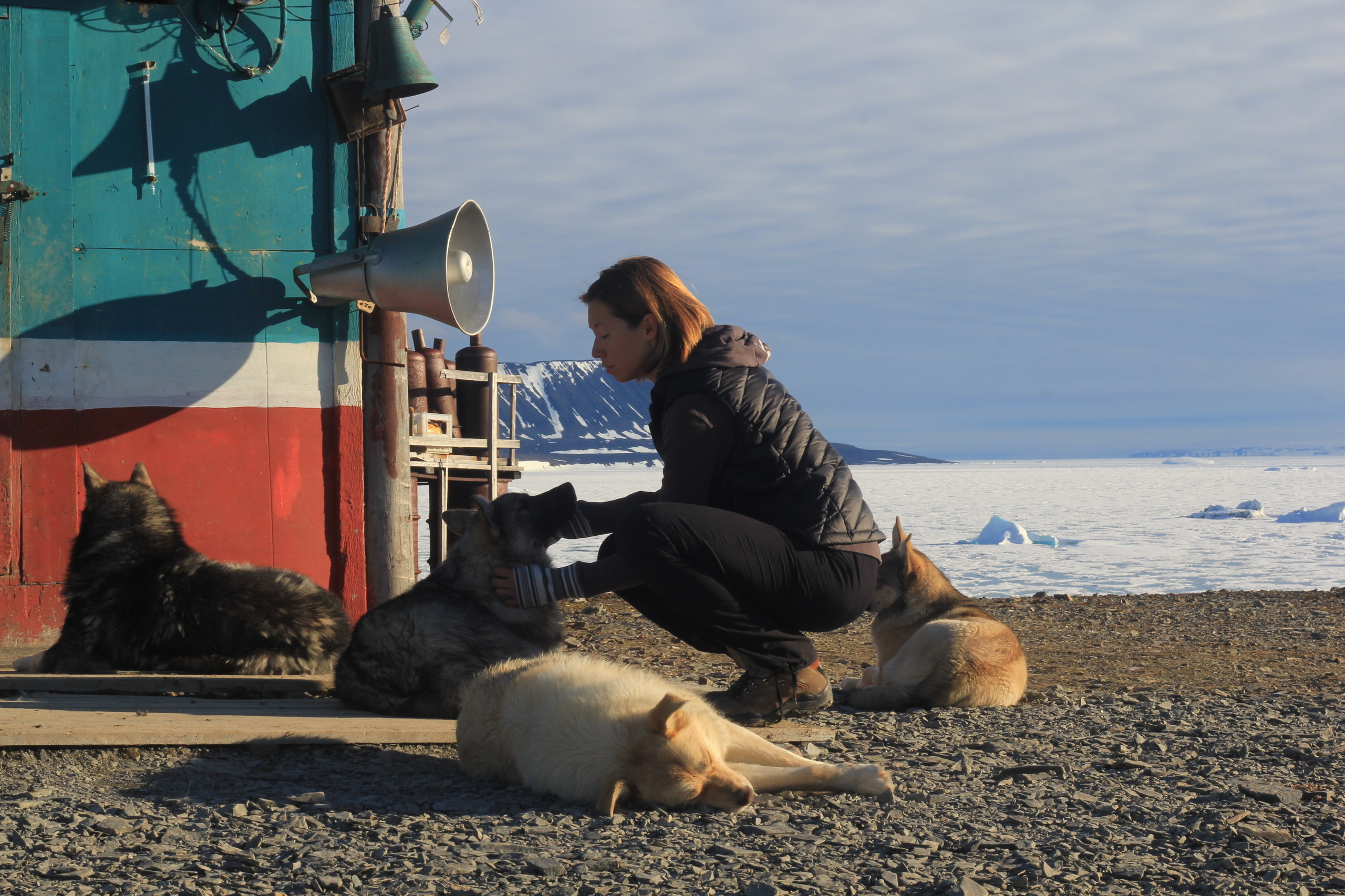 История одного белого медведя. Xexexena.ru