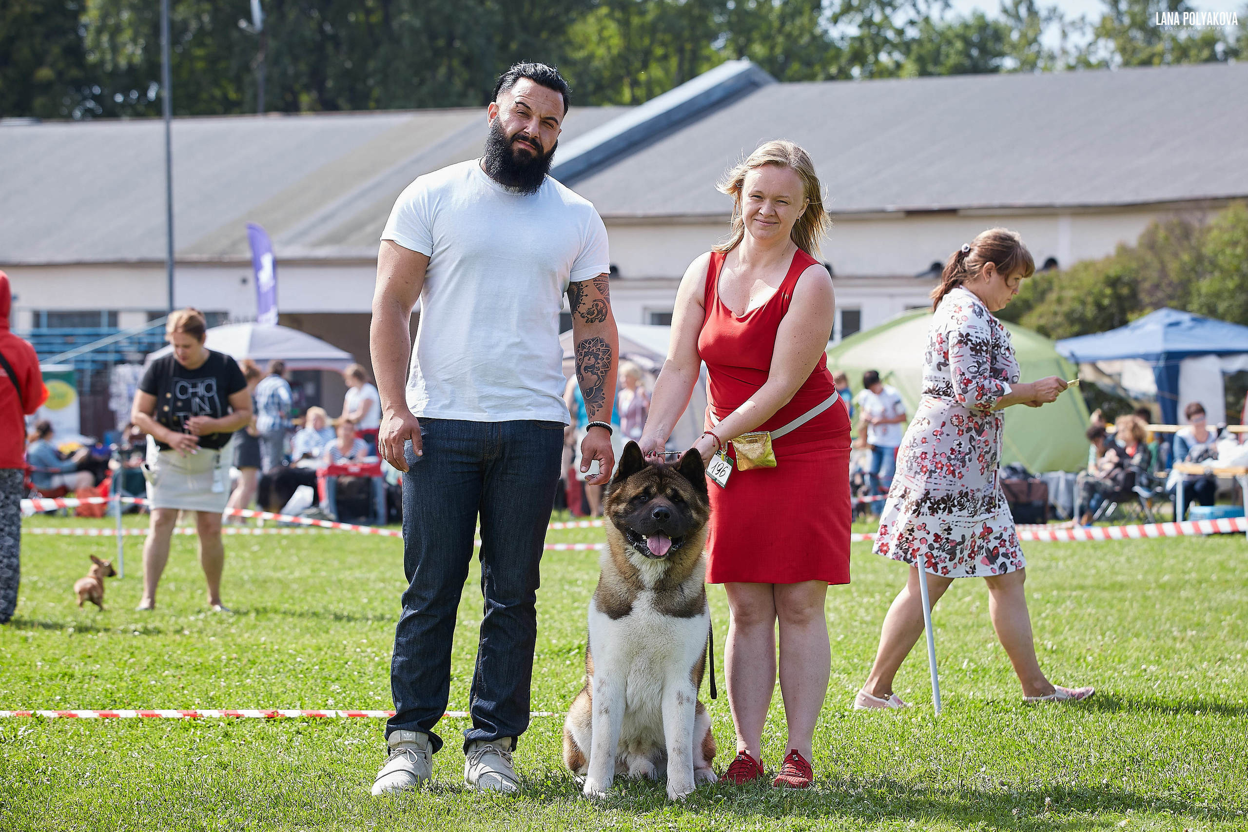 ГАЛС * IMAGINE DRAGON