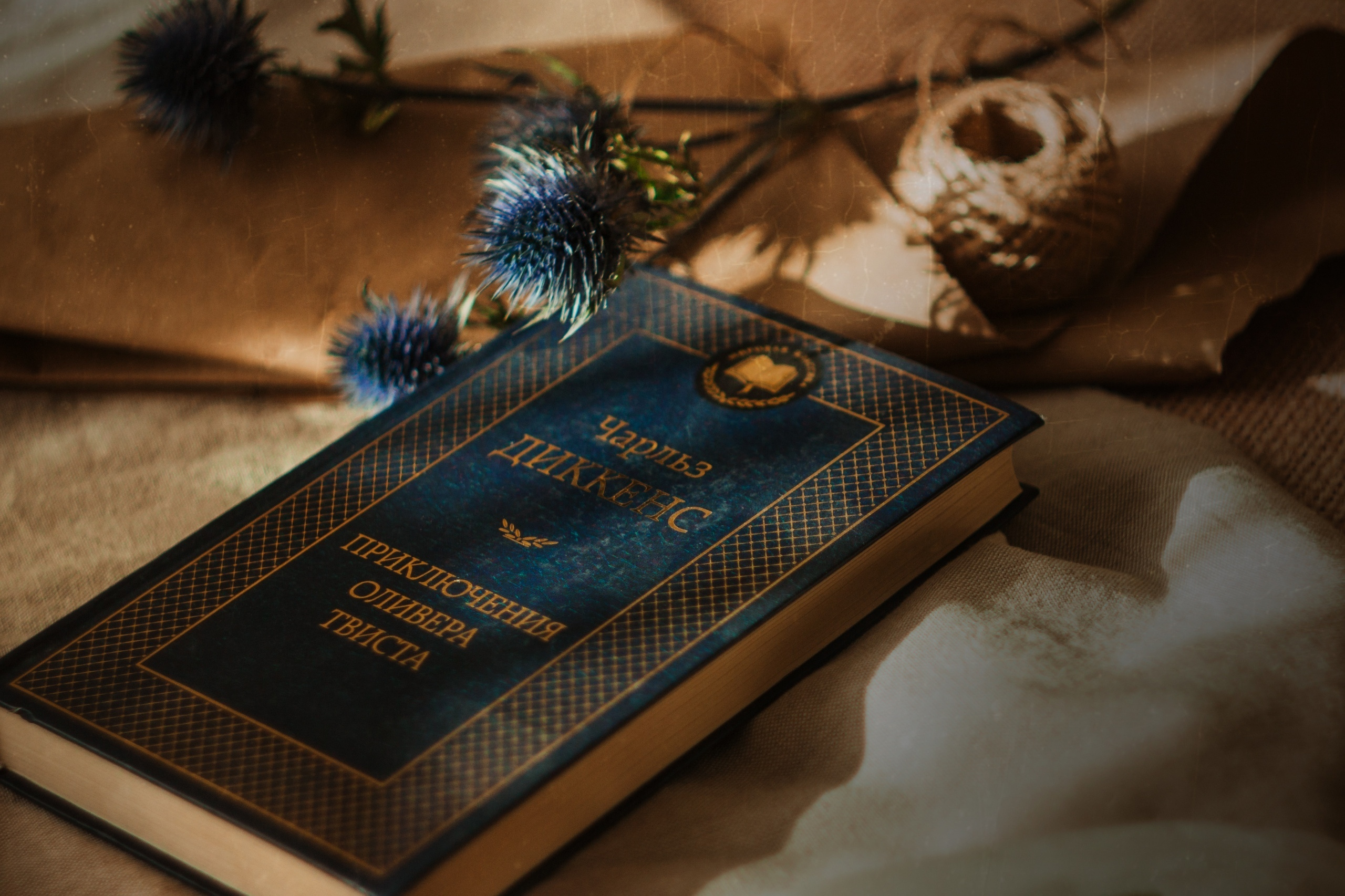 книга чарльз диккенс, чертополох, мешковина, натюрморт