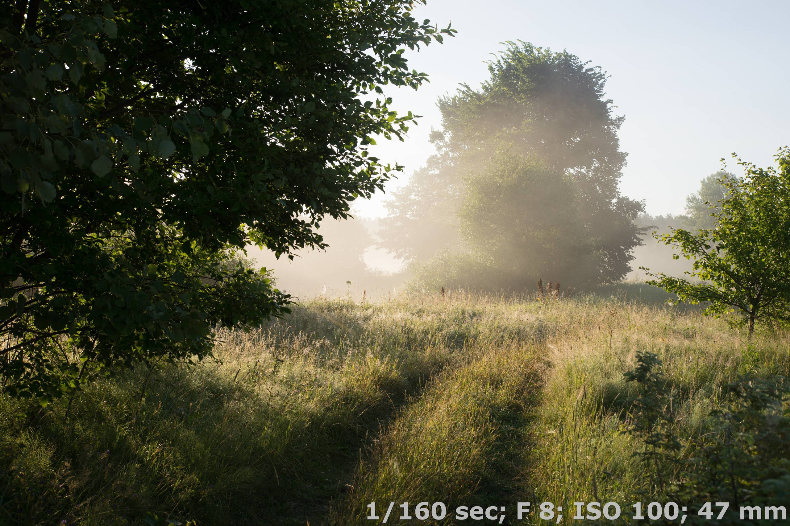 Съемка в ручном режиме при постоянном свете. Фотоцентр Перспектива: выпускные альбомы, фотошкола, курсы фотографии