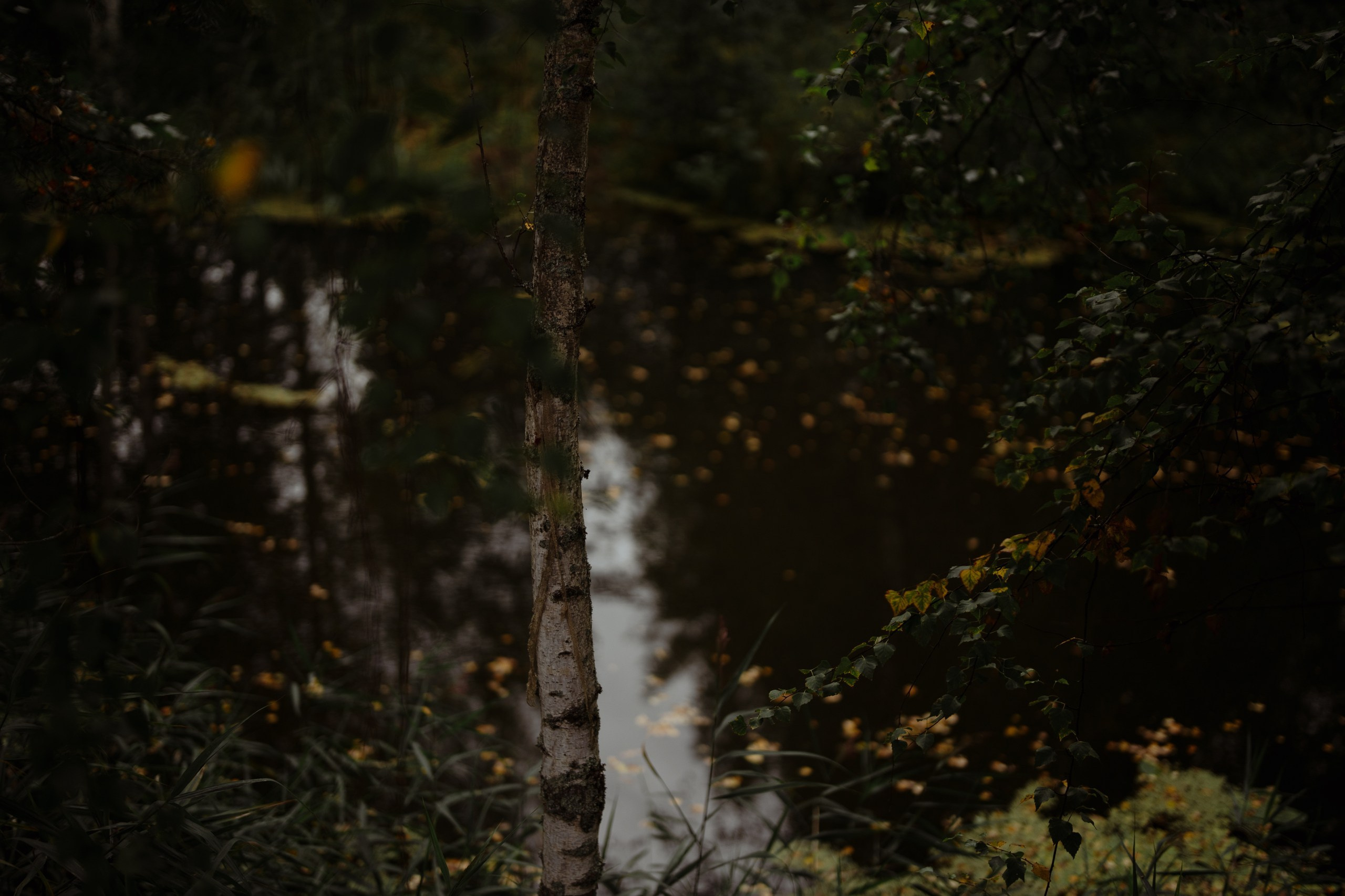 Сюжет № 11|Виктория Алексеенко