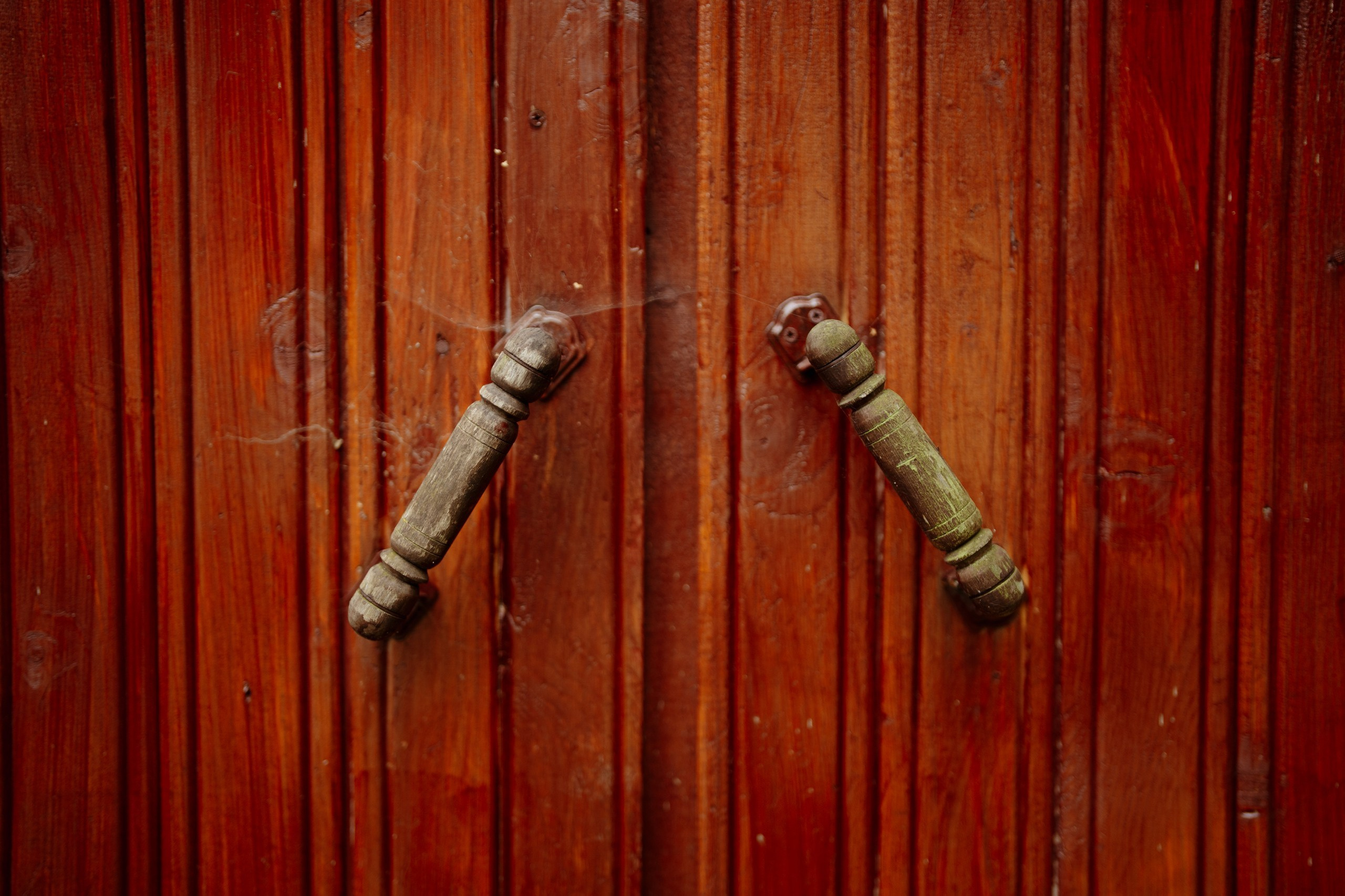 Сюжет № 11|Виктория Алексеенко