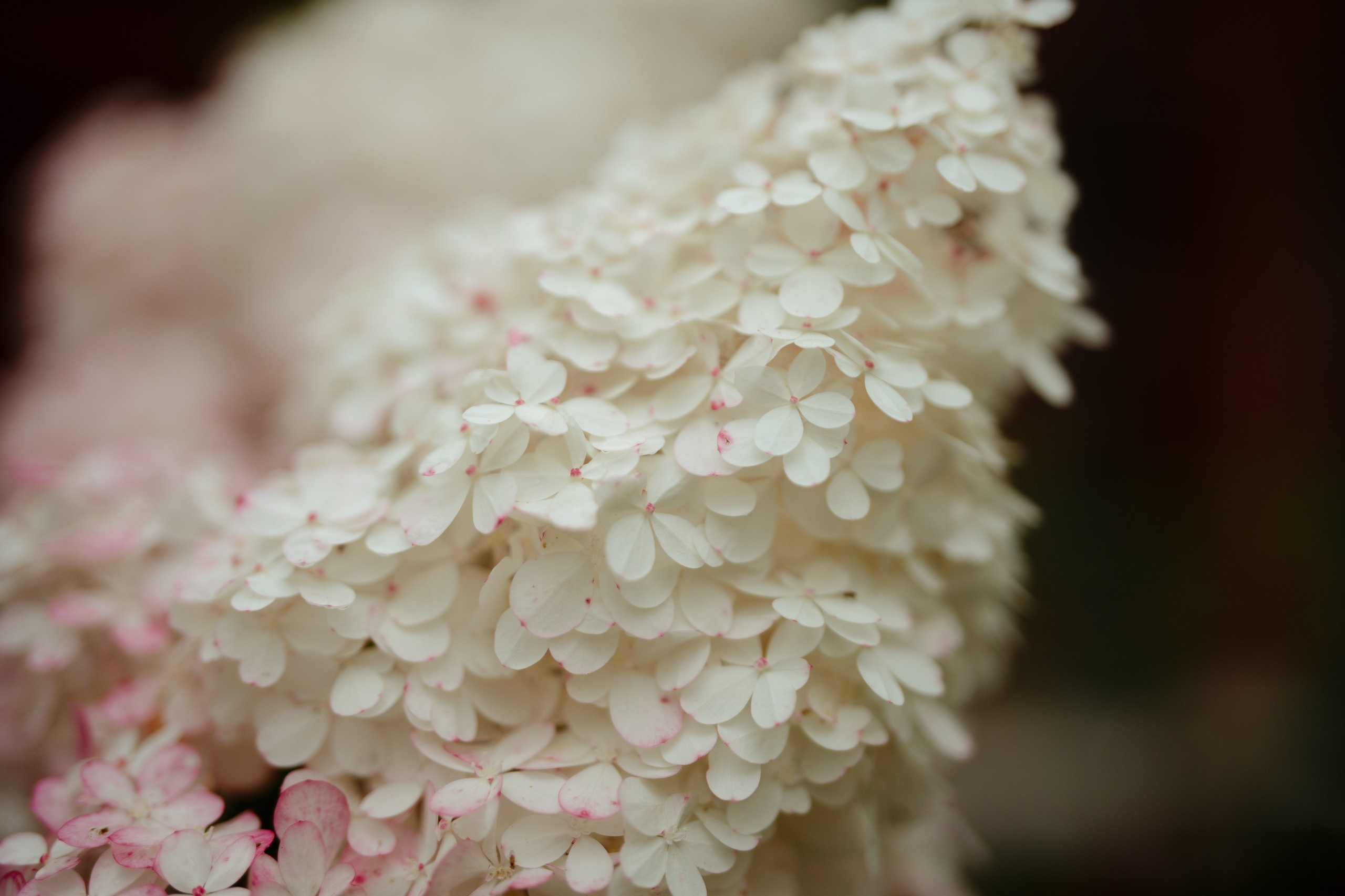 Сюжет № 11|Виктория Алексеенко