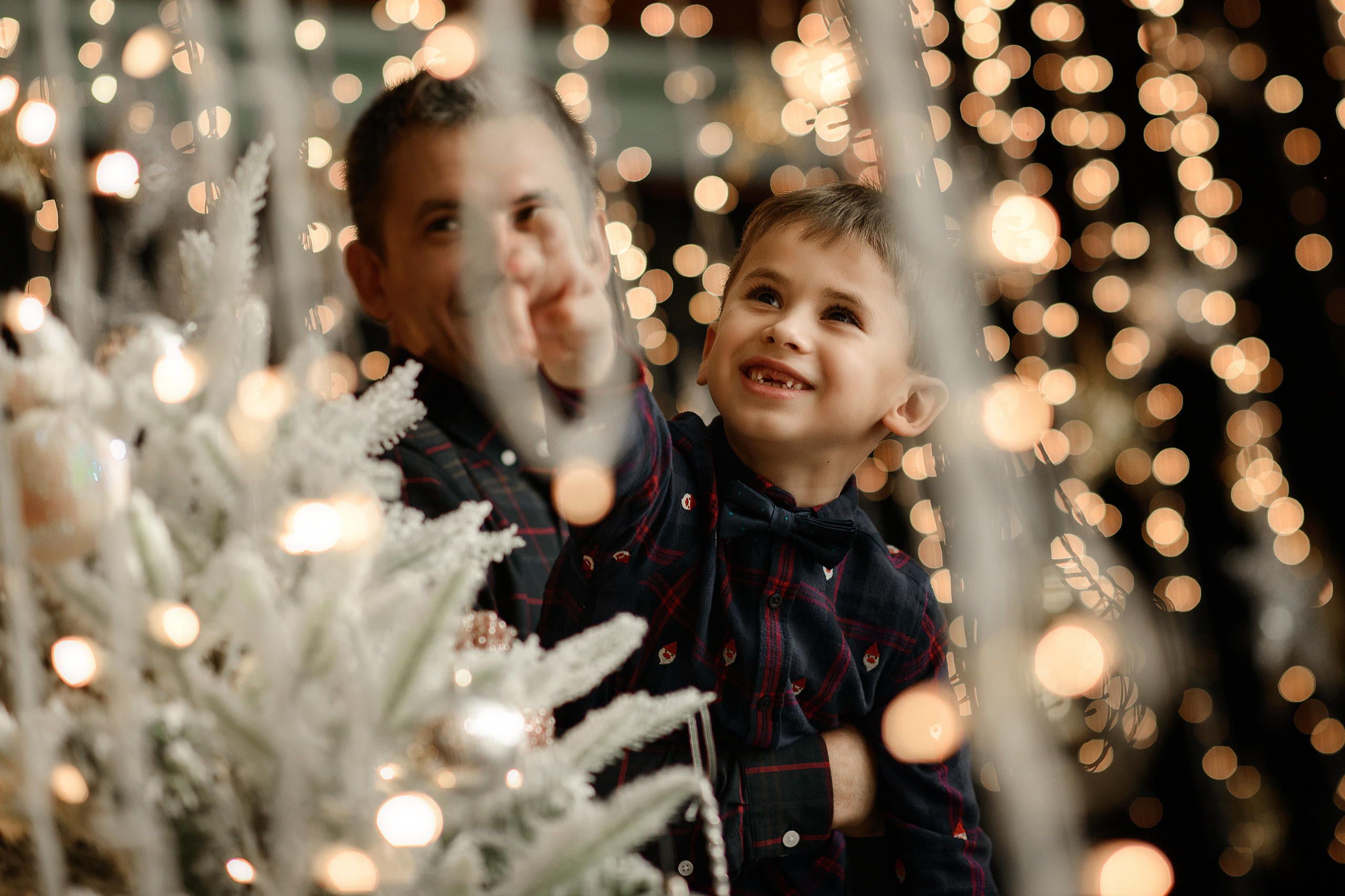 Новый Год 2024