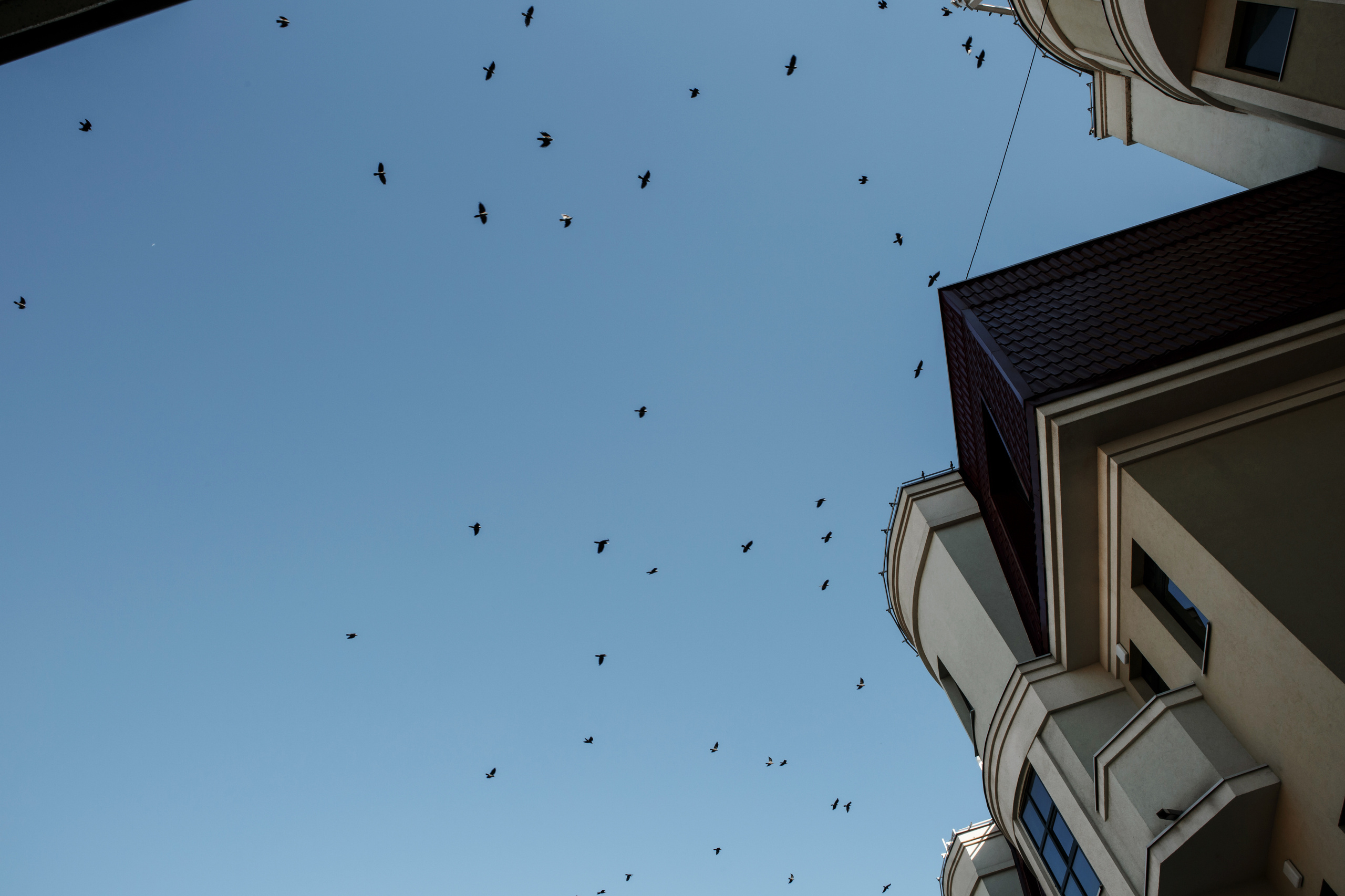 11.08.2018 Анонс свадьбы Артем + Ольга. Свадебный фотограф Колесников Антон