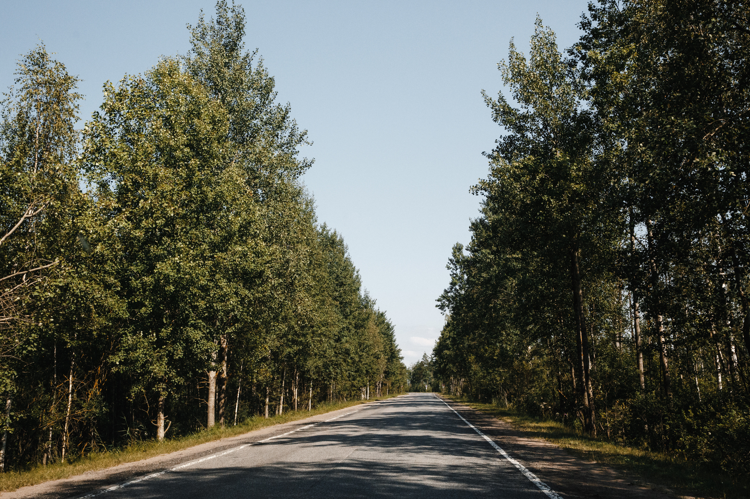 Оля и Артур. Анонс свадьбы. Семейный и свадебный фотограф Полина Принцева