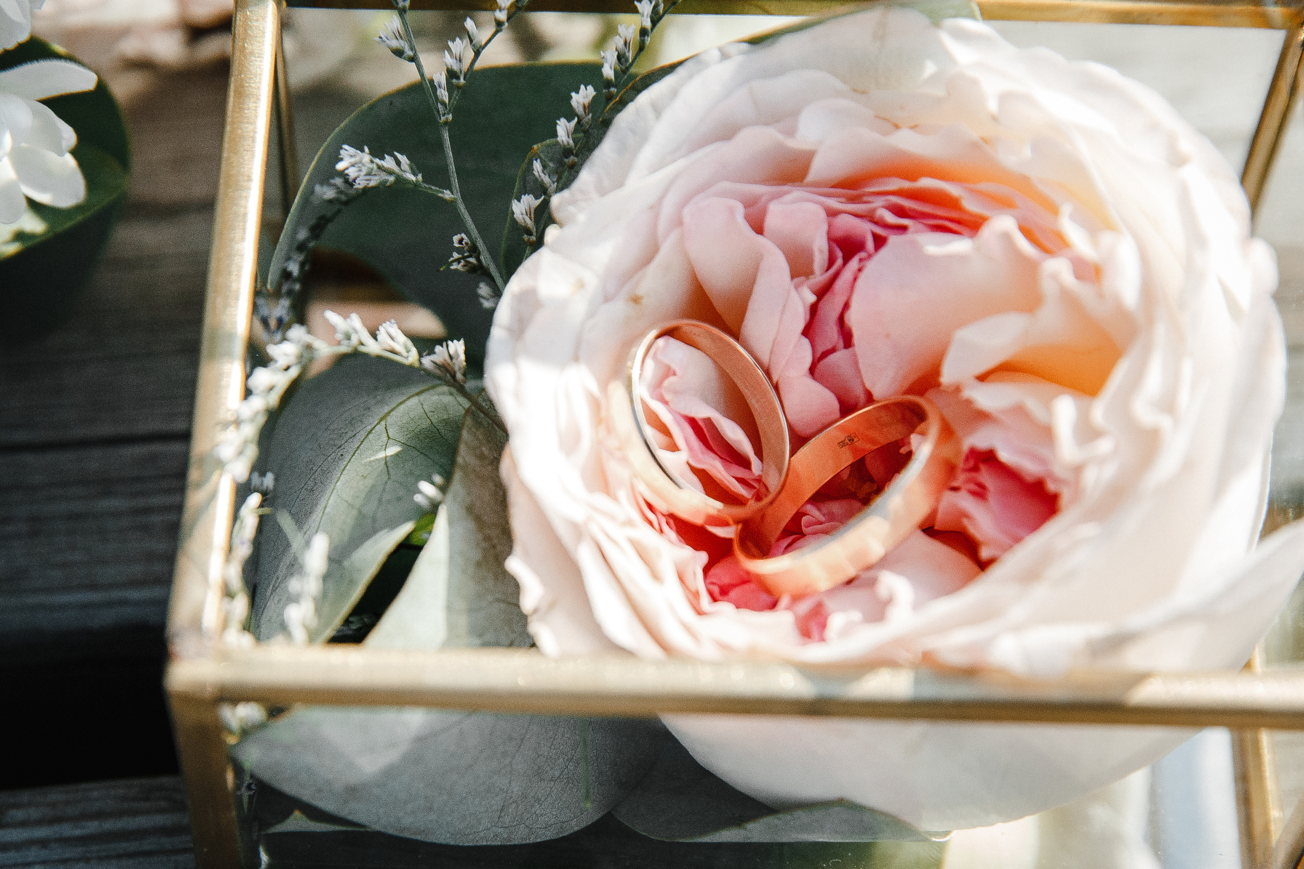 Оля и Артур. Анонс свадьбы. Семейный и свадебный фотограф Полина Принцева
