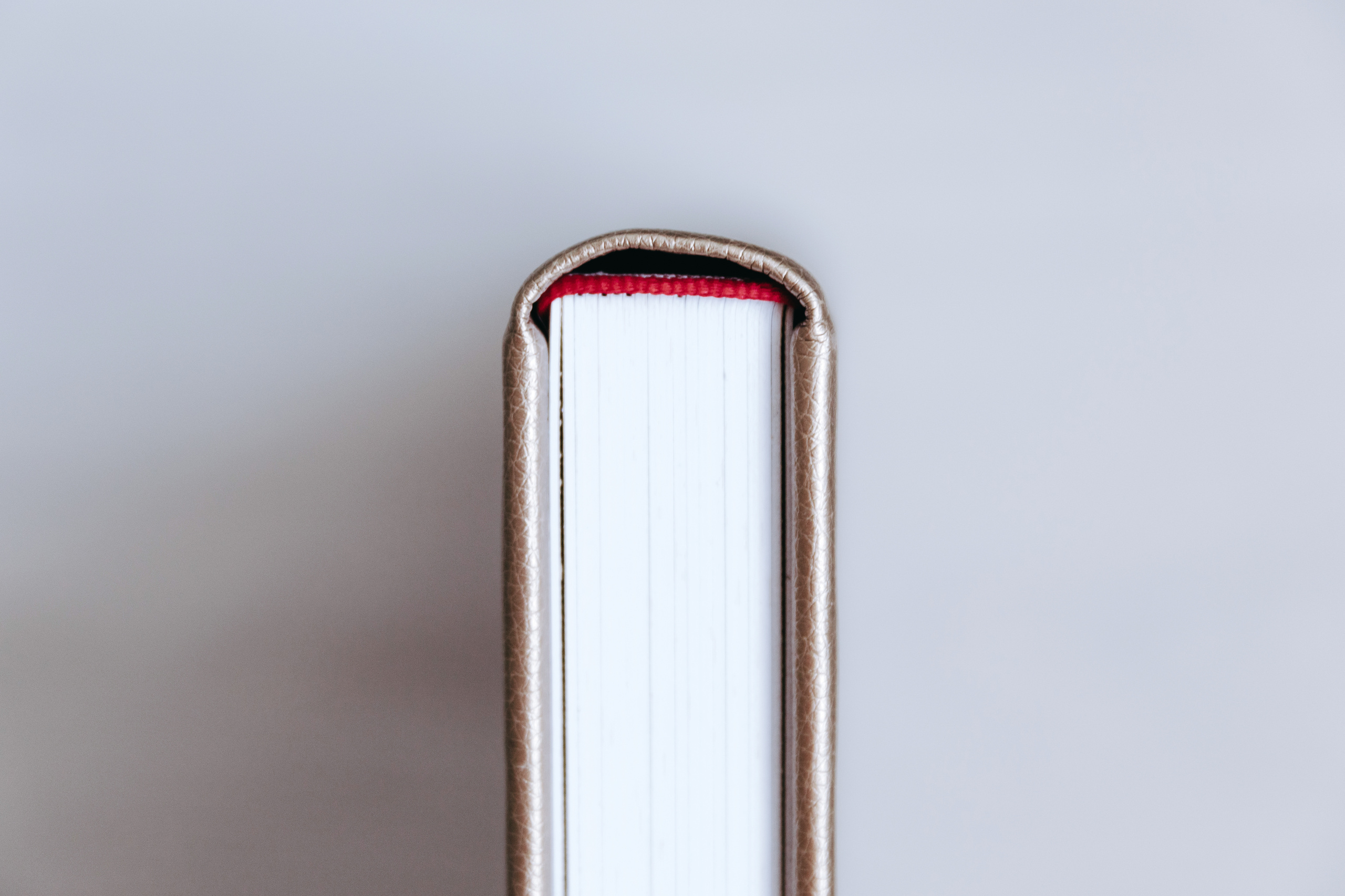 Услуги и стоимость. Свадебный и семейный фотограф в Санкт-Петербурге Барсова Анастасия