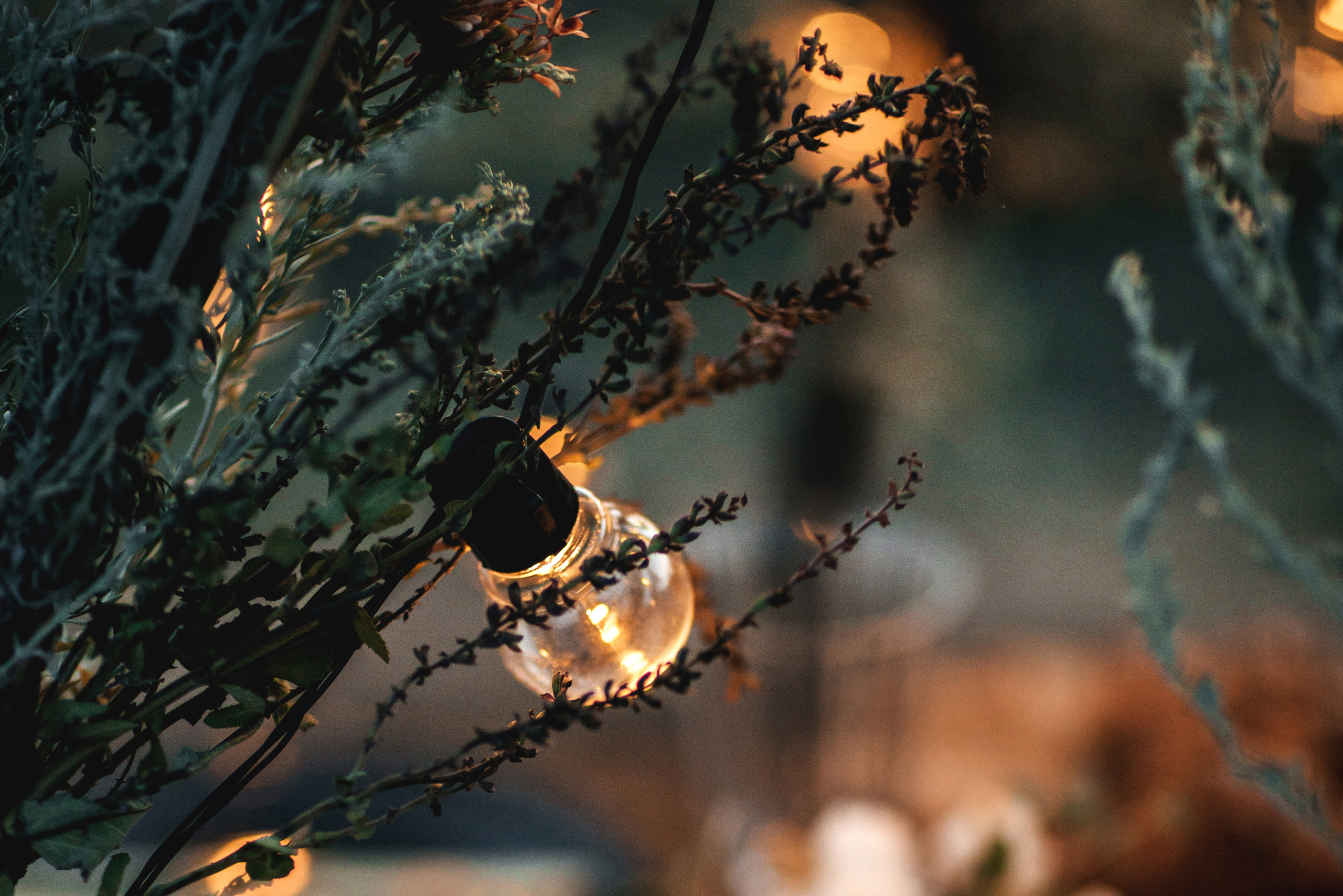 Свадебный фотограф Ростов,. Свадебный фотограф в Ростове-на-Дону Олег Майер