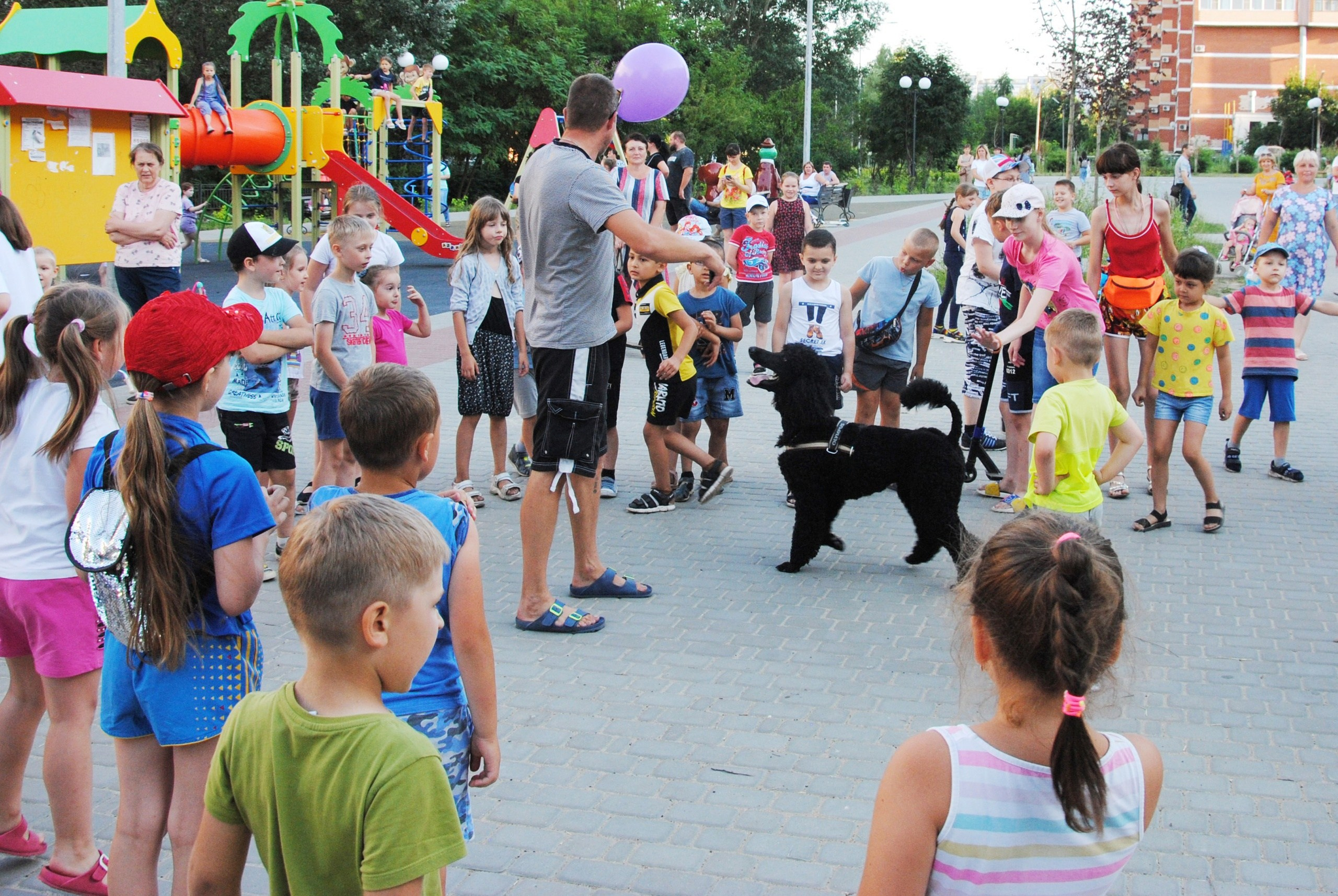 Собачье дело. Фотостудия Портрет Свадебный и семейный фотограф в Рязани