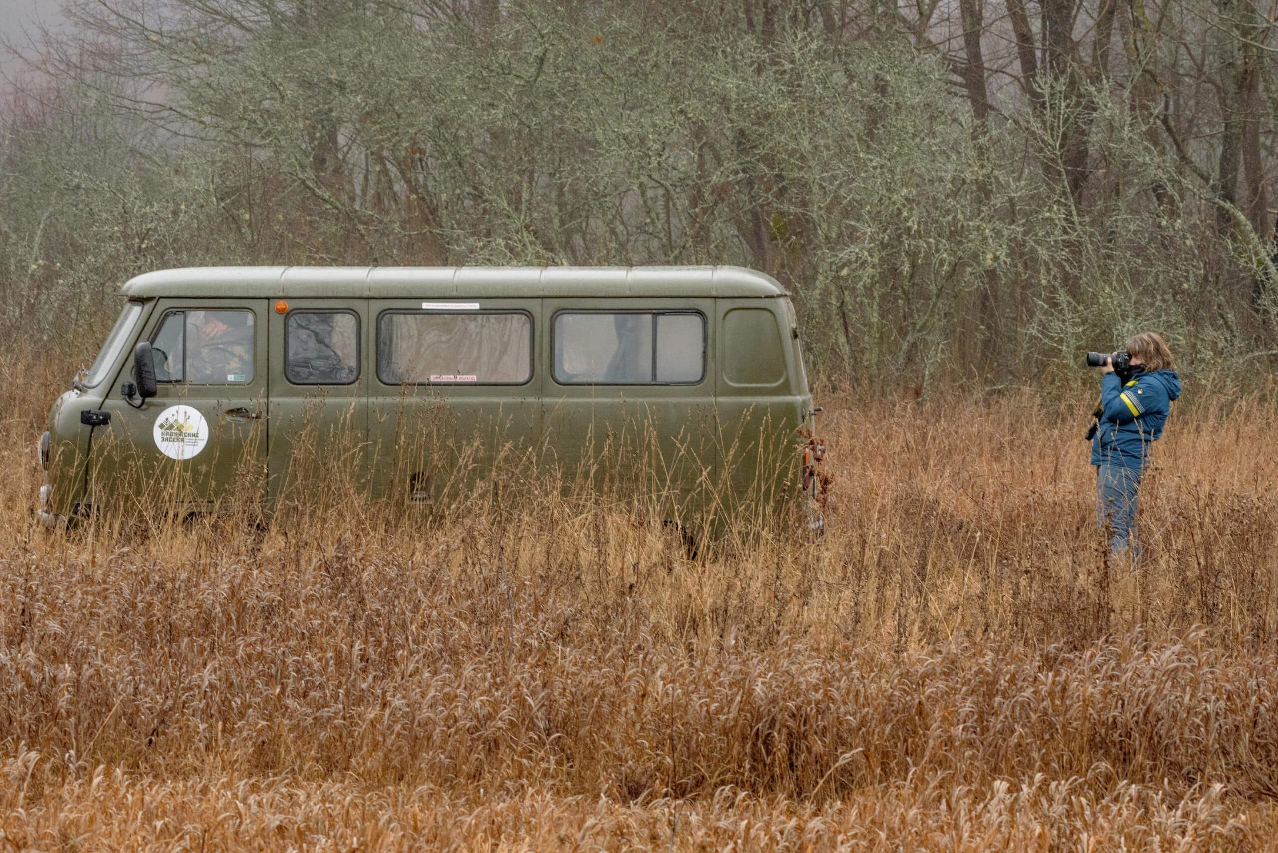 Фототур по съемке зубров в заповеднике “Калужские Засеки”