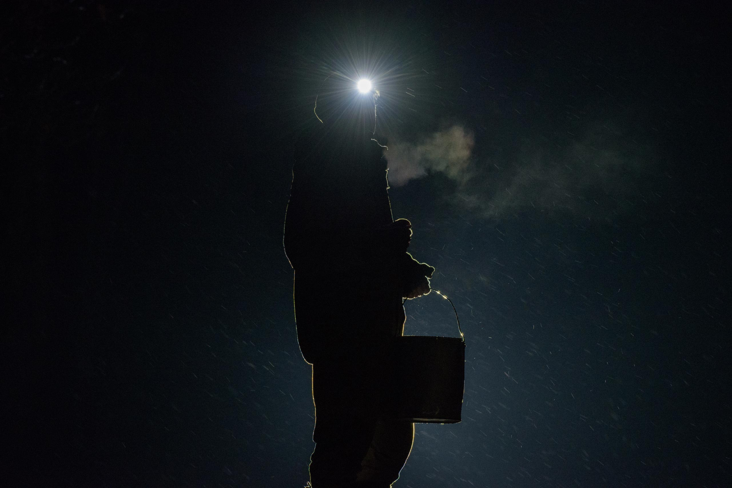 фототуры, фототур, экспедиция, животные, приключение, путешествие, поездка, туры выходного дня, туры по России, фототуры по России, дикая природа, зубры, Калужские засеки