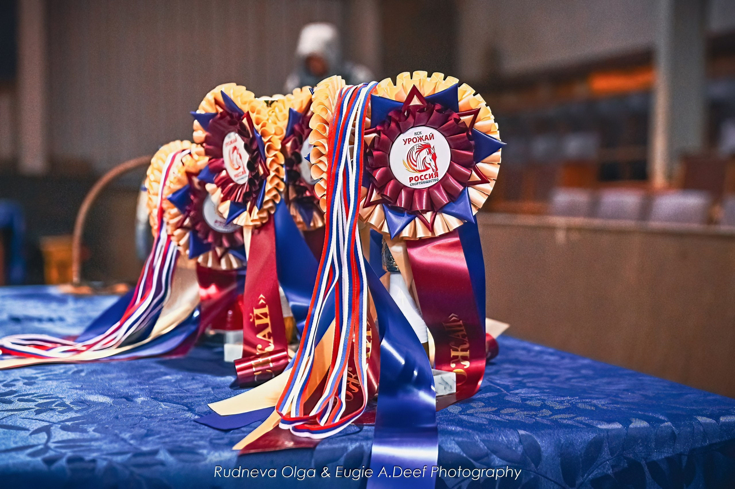 КСК Урожай. ТУРНИРНАЯ КОННАЯ ФОТОГРАФИЯ, Руднева Ольга и Евгений Адеев