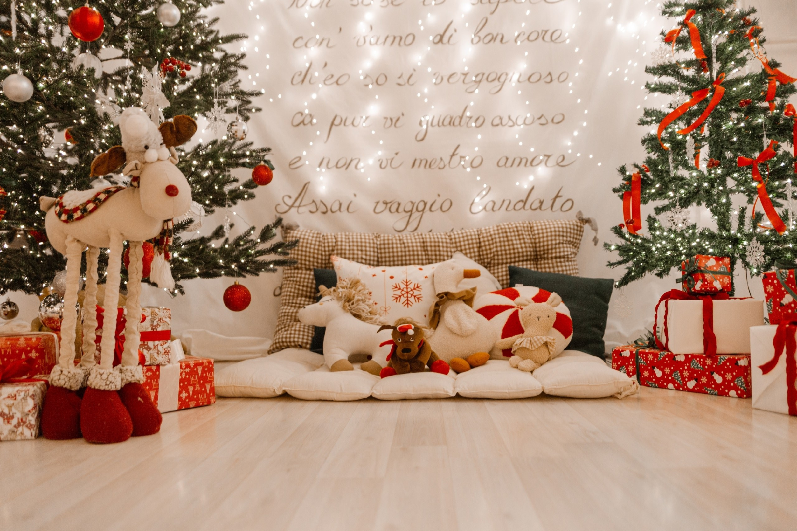 Студии. Фотограф Наталья Кузьмик г. Красноярск