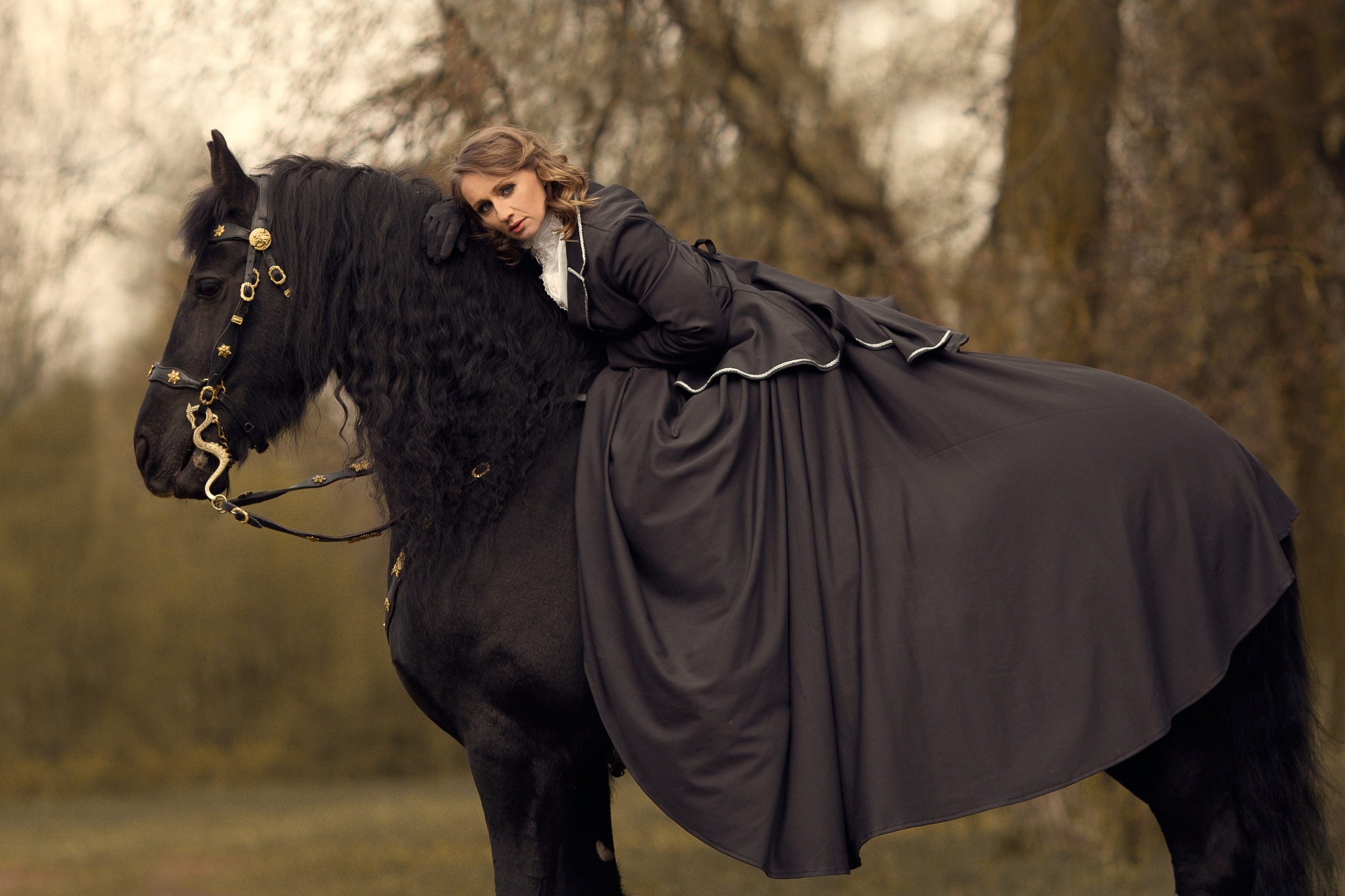 Предложения по фотосессиям с лошадьми