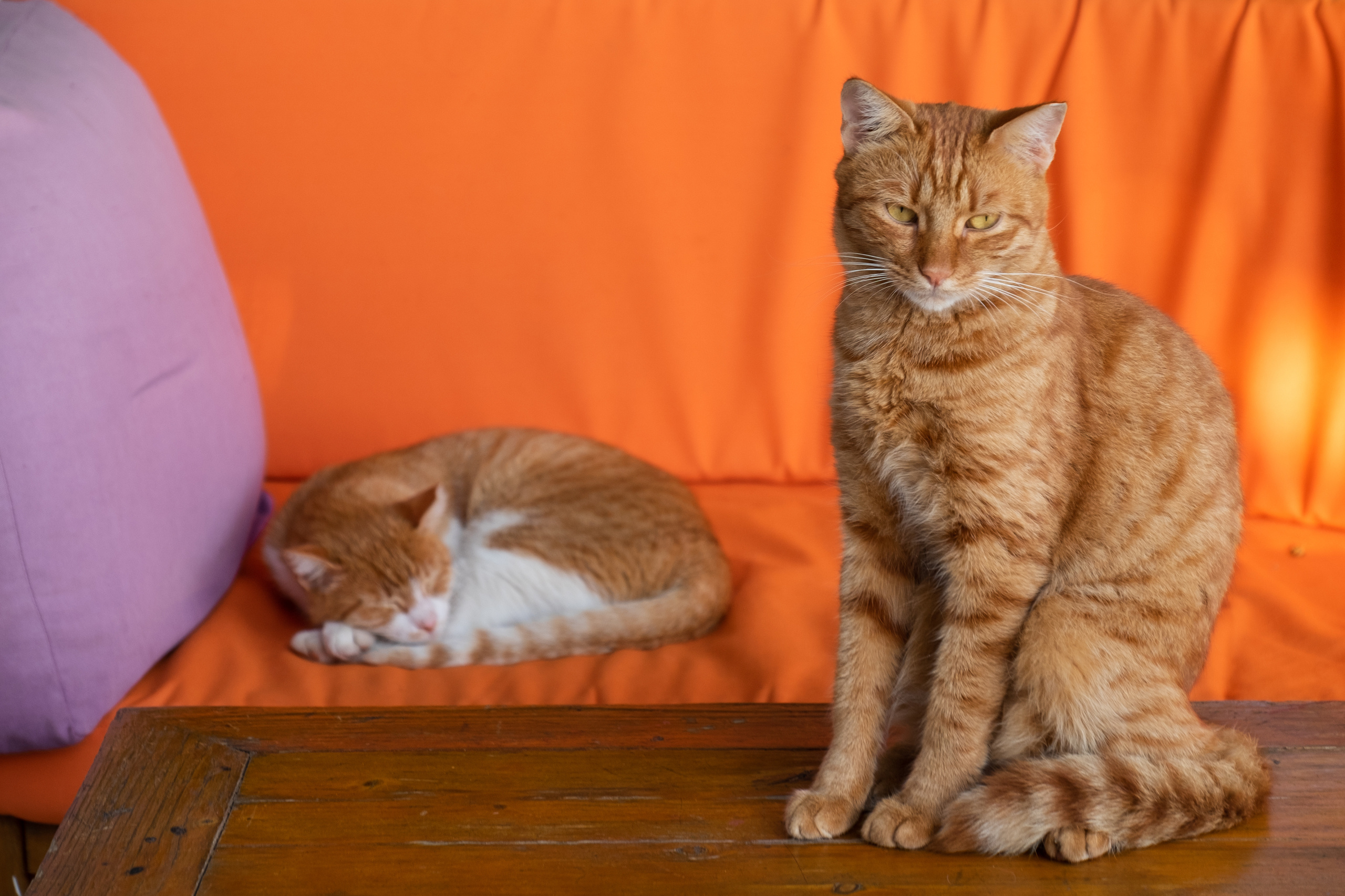 Такая необычная Турция. Фотограф Александр Чешуин