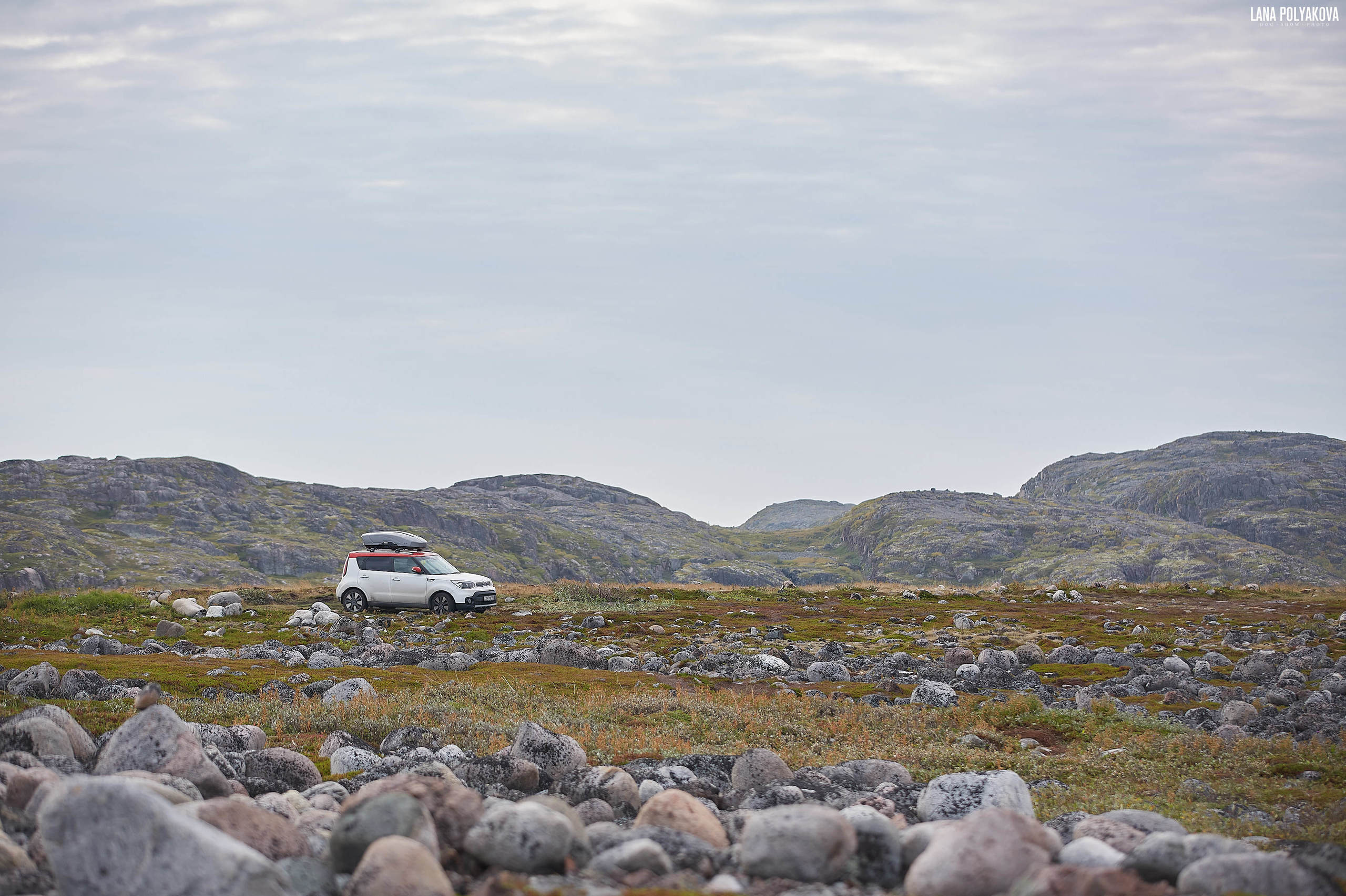 Териберка, 2019