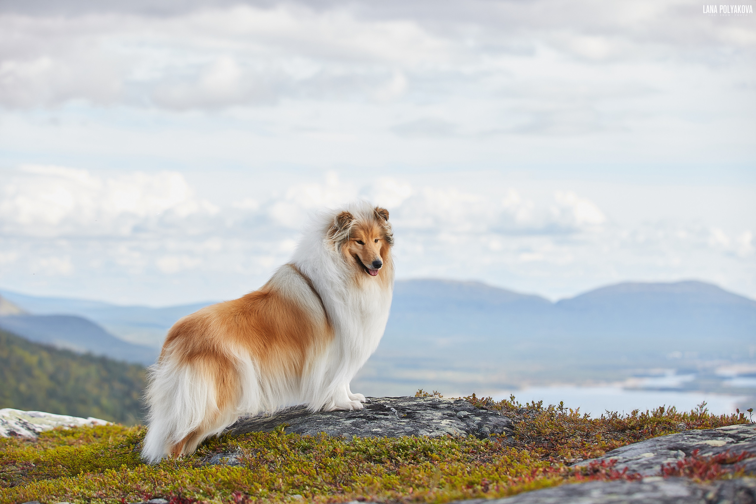 Кандалакша, Кольский п-в