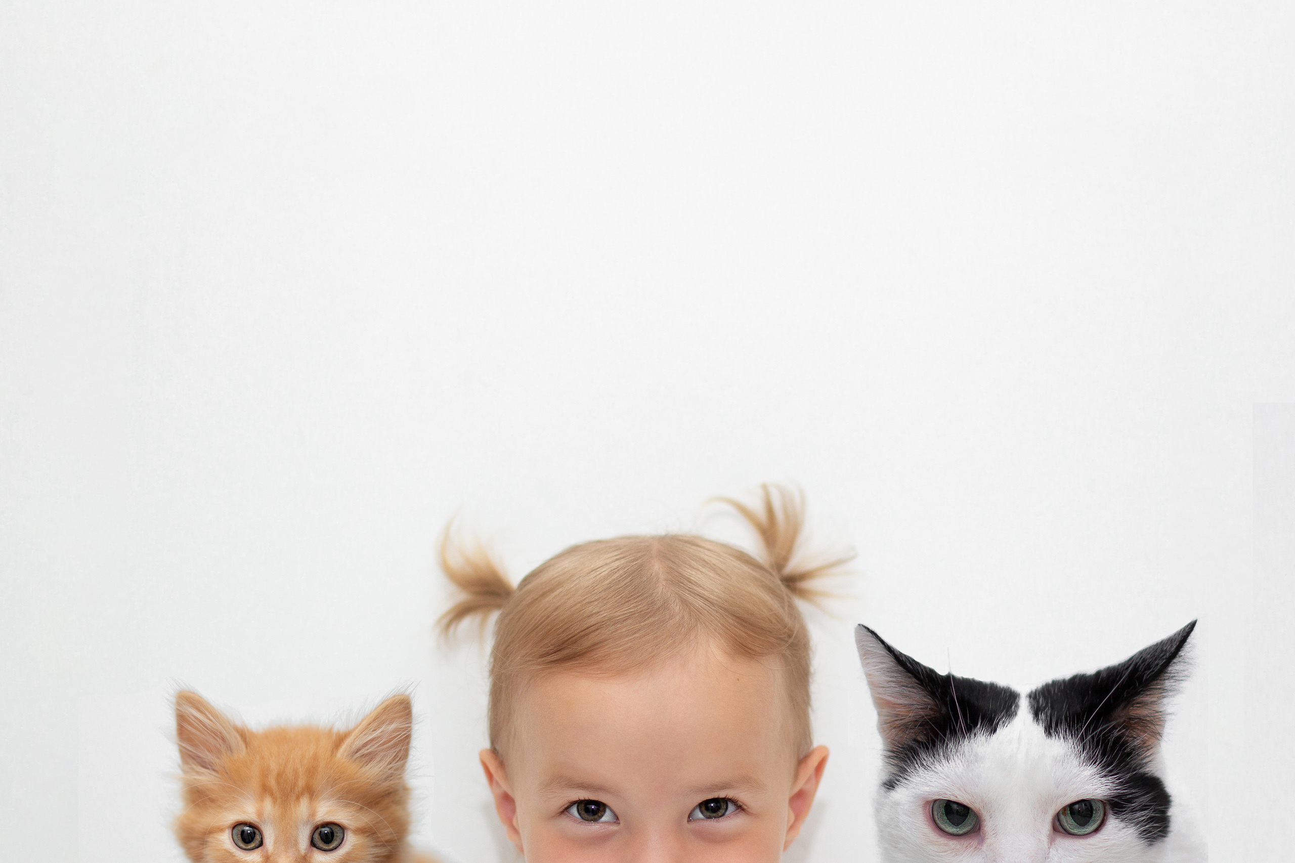 Фотограф Черепанова Олеся. Семейный фотограф Екатеринбург Черепанова Олеся