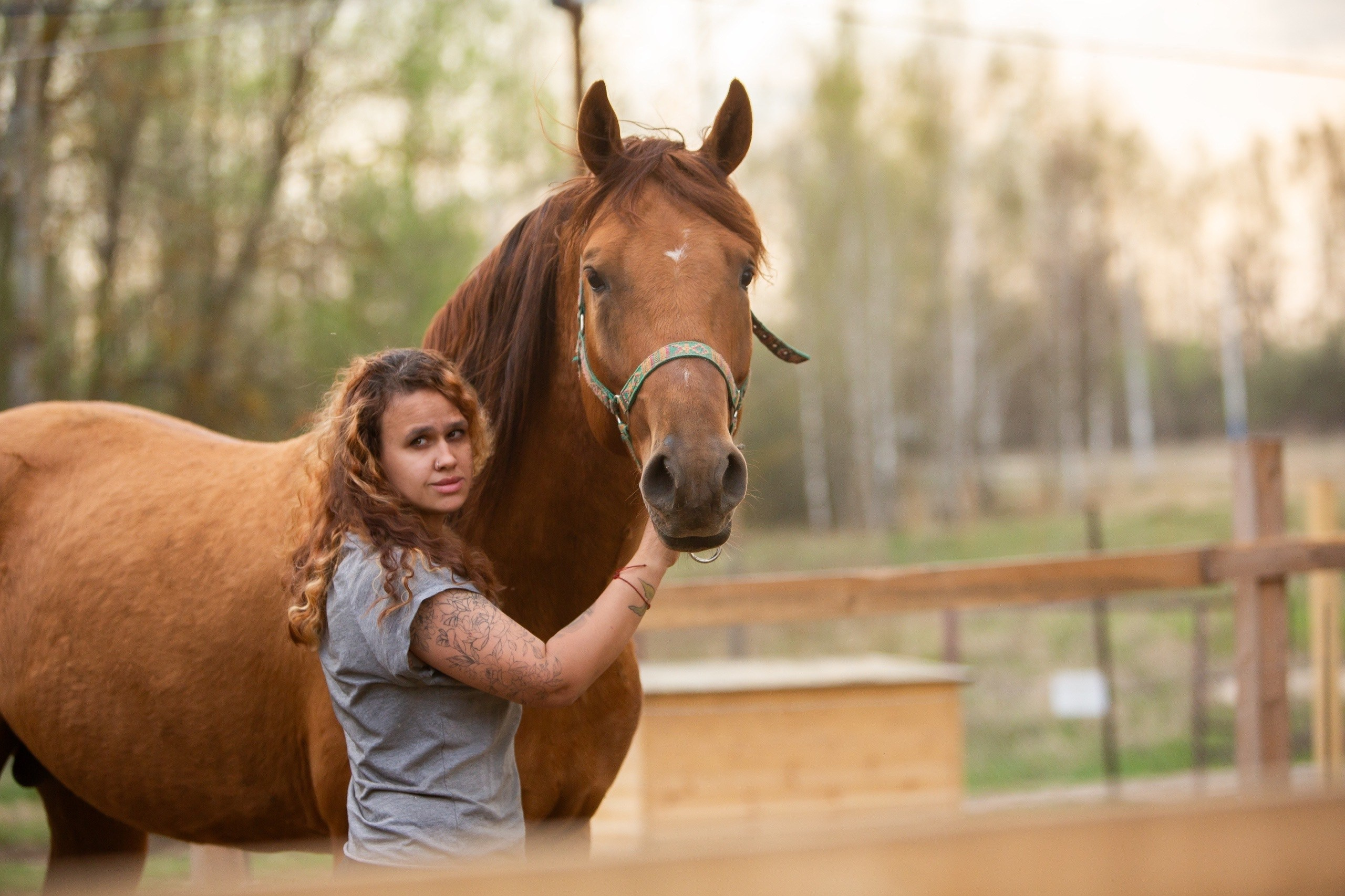 Богнер 2021 г. р. (Бомбей-Гликерия) Пал в марте 2026 года. Конный фотограф Юлия Дроздова