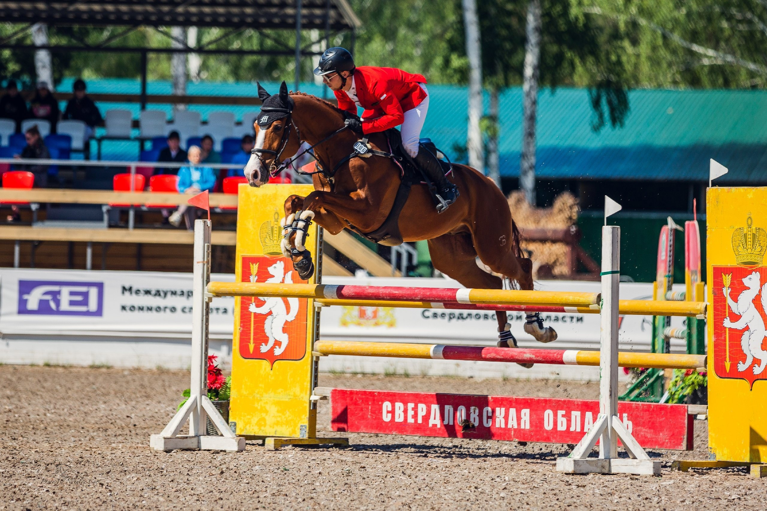 Фотосессия с лошадью, Фото с лошадью, конный фотограф екатеринбург, заказать фотосессию с лошадью, фотосессия, Фотограф Екатеринбург, Фотограф Анималист, Фотограф анималист Екатеринбург