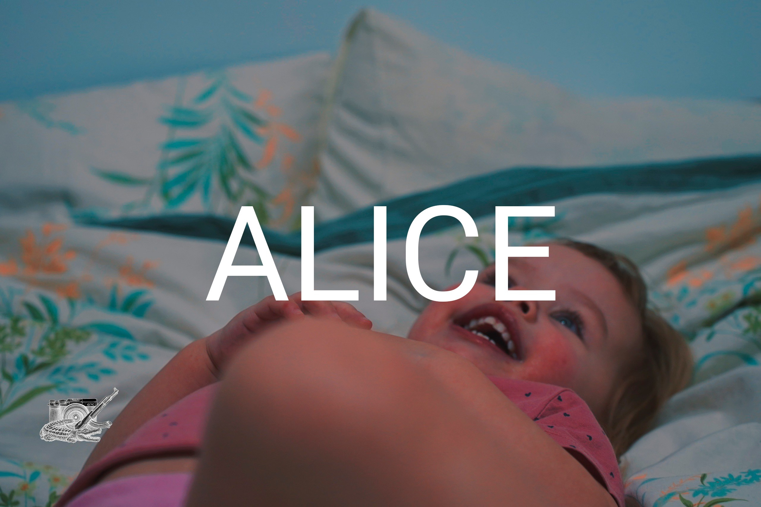 ALICE. Фотограф и визуальный художник в Туле / Николай Рейзвих