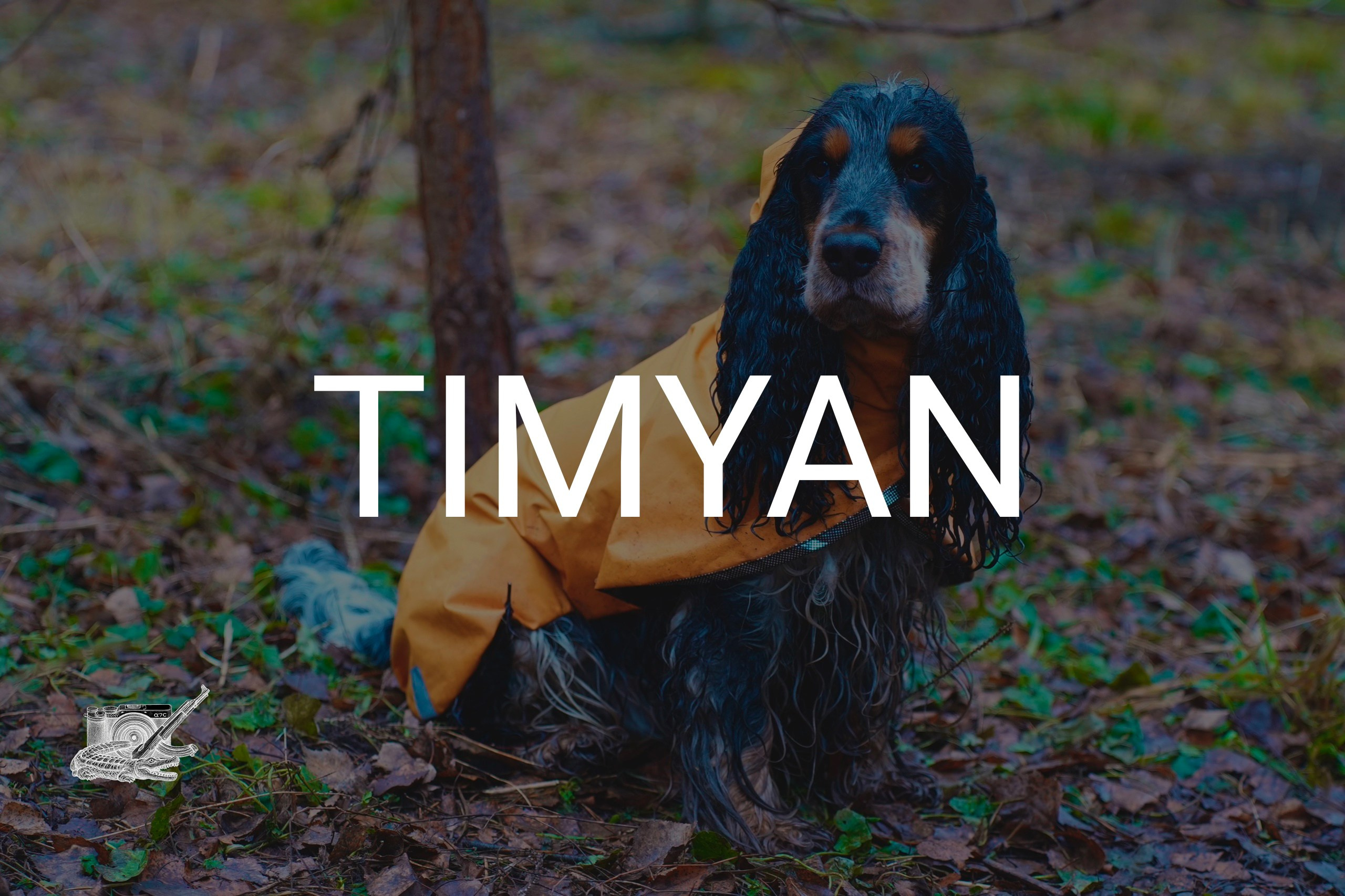 TIMYAN. Фотограф и визуальный художник в Туле / Николай Рейзвих