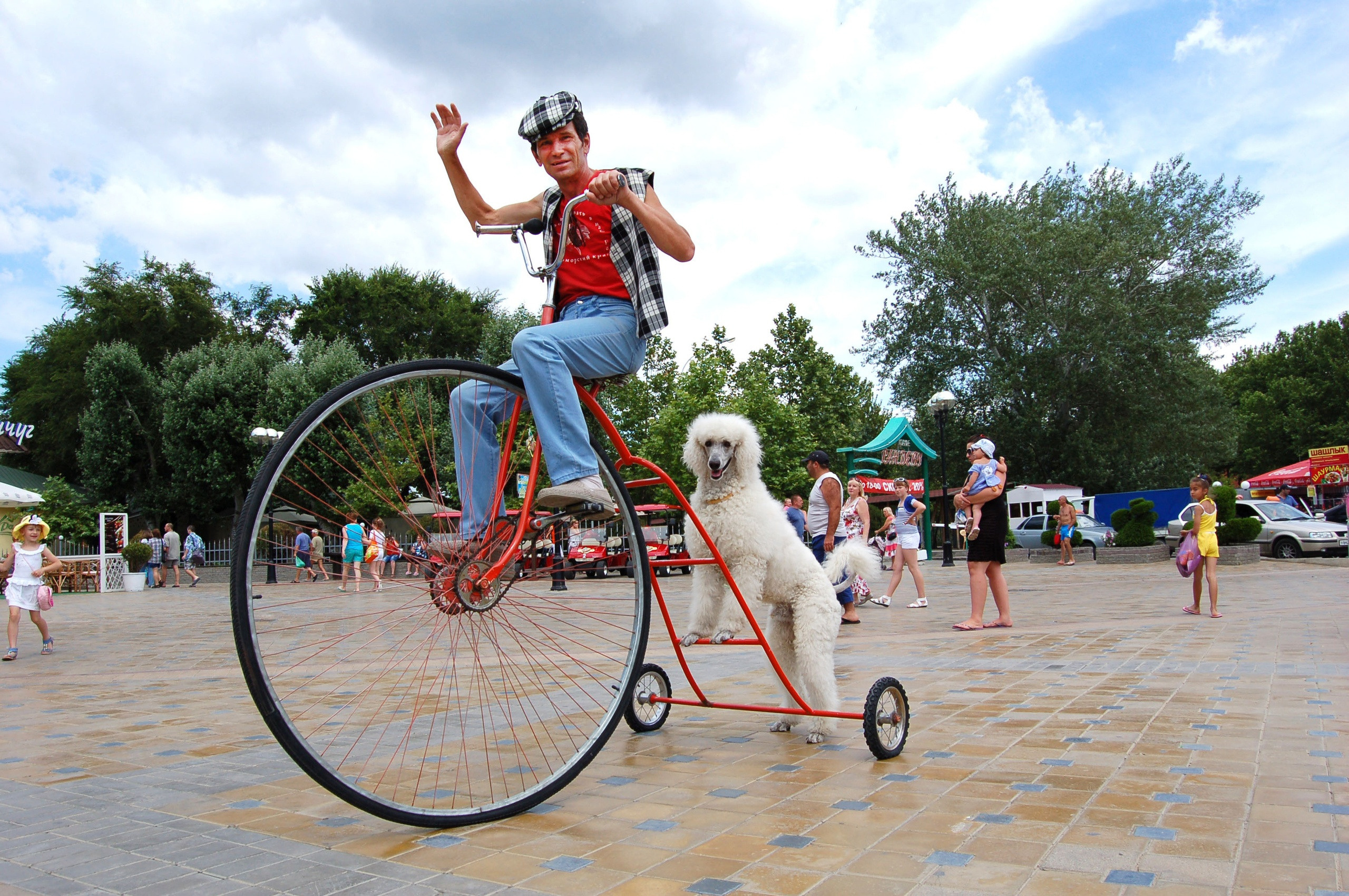 Работаем у моря. Фотостудия Портрет Свадебный и семейный фотограф в Рязани