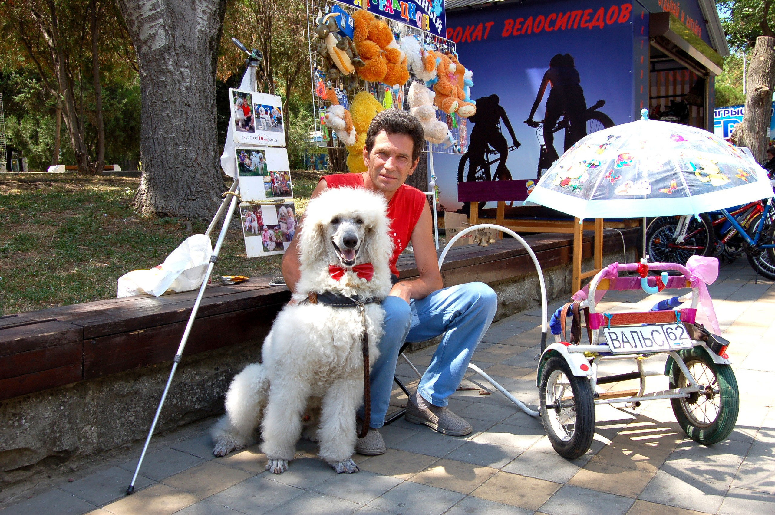 Работаем у моря. Фотостудия Портрет Свадебный и семейный фотограф в Рязани