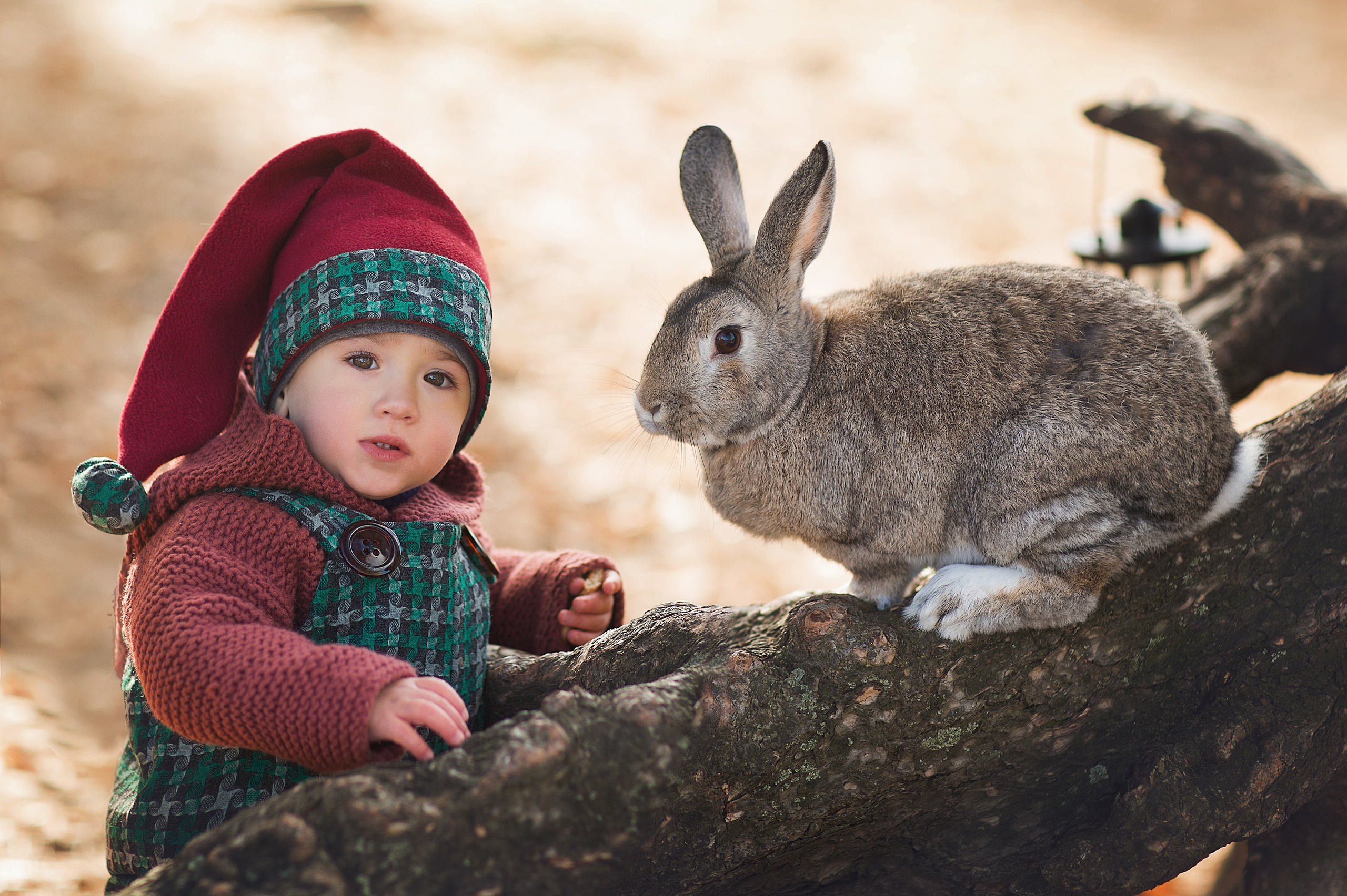 Стоимость аренды животных. Фотограф Лия Милк | Москва, Подмосковье