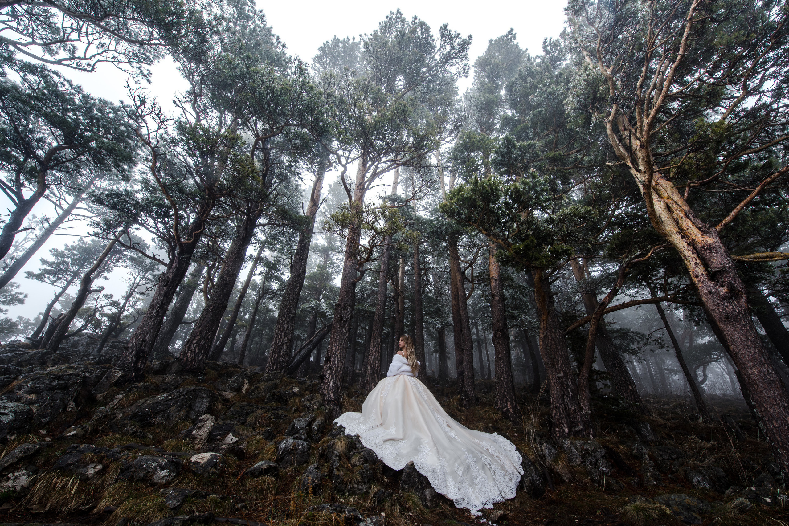 Сколько стоит. Свадебный и семейный фотограф  в г.Краснодар