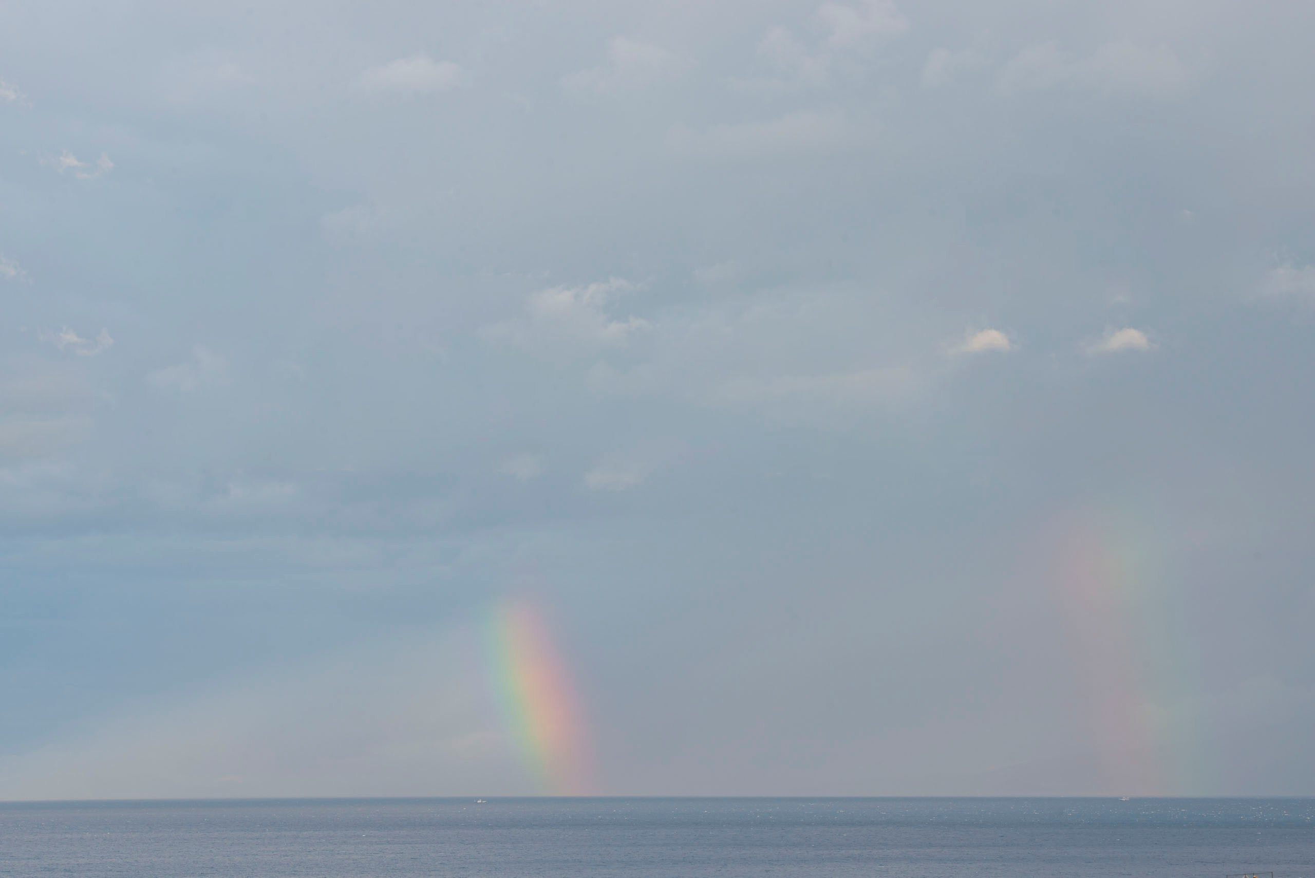 Фотография в интерьере — влияние визуальных образов на пространство | Талилула фотограф