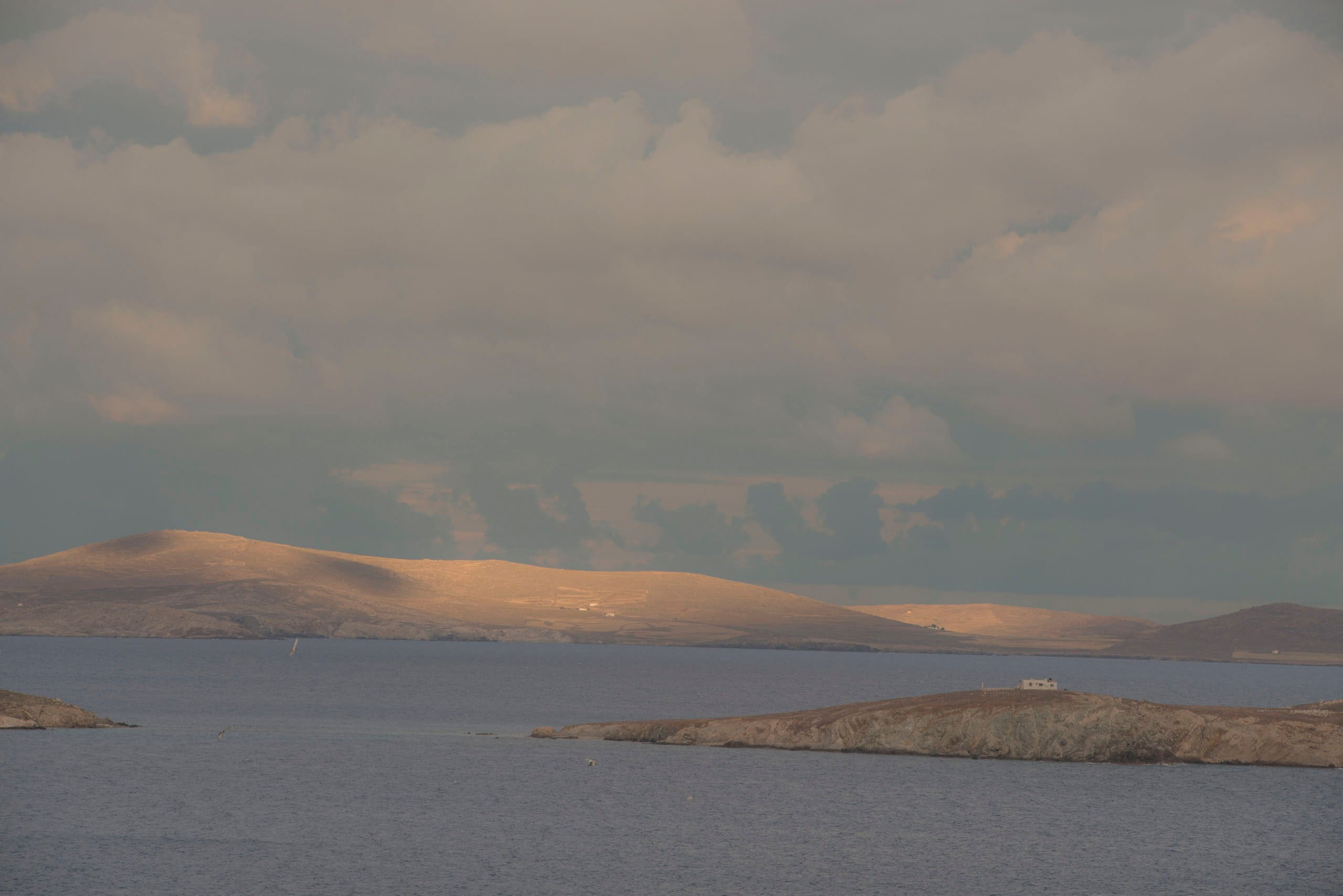 Фотография в интерьере — влияние визуальных образов на пространство | Талилула фотограф