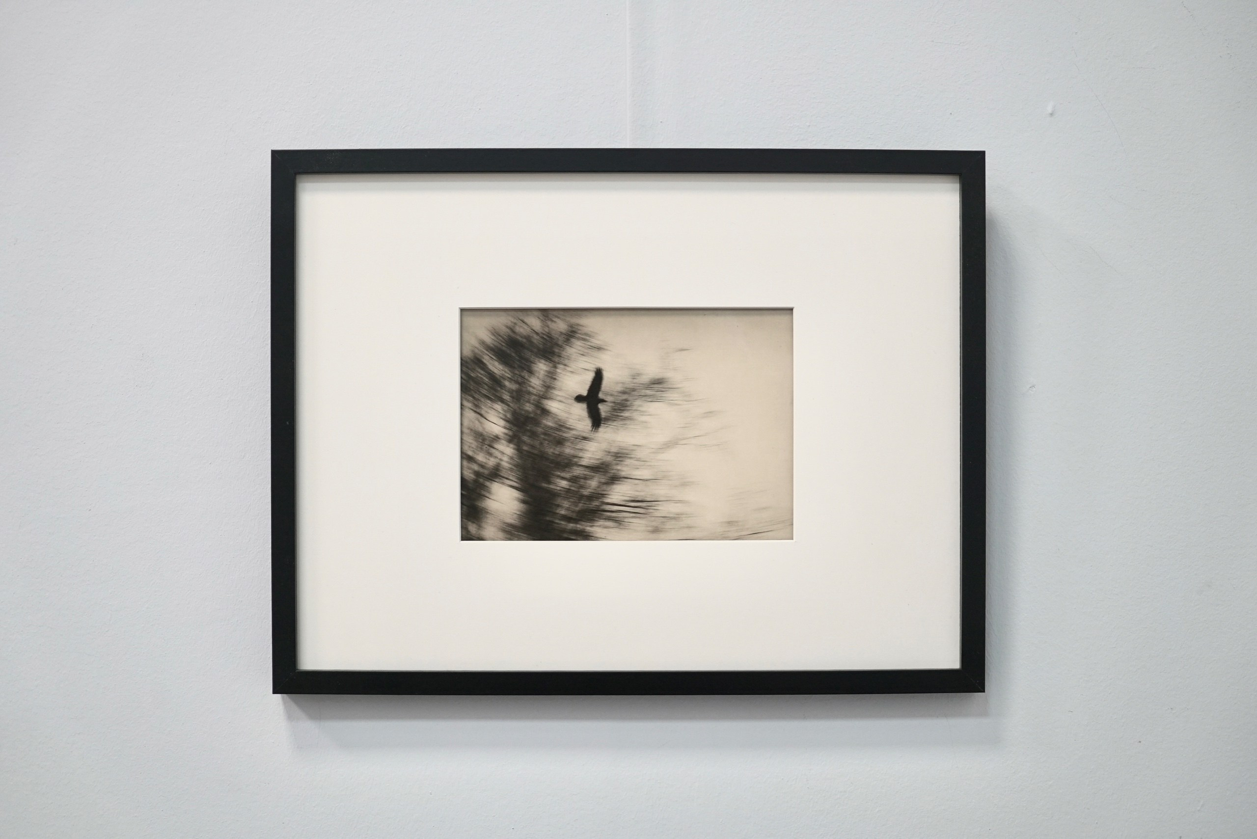 Новости. Музей истории фотографии в Санкт-Петербурге