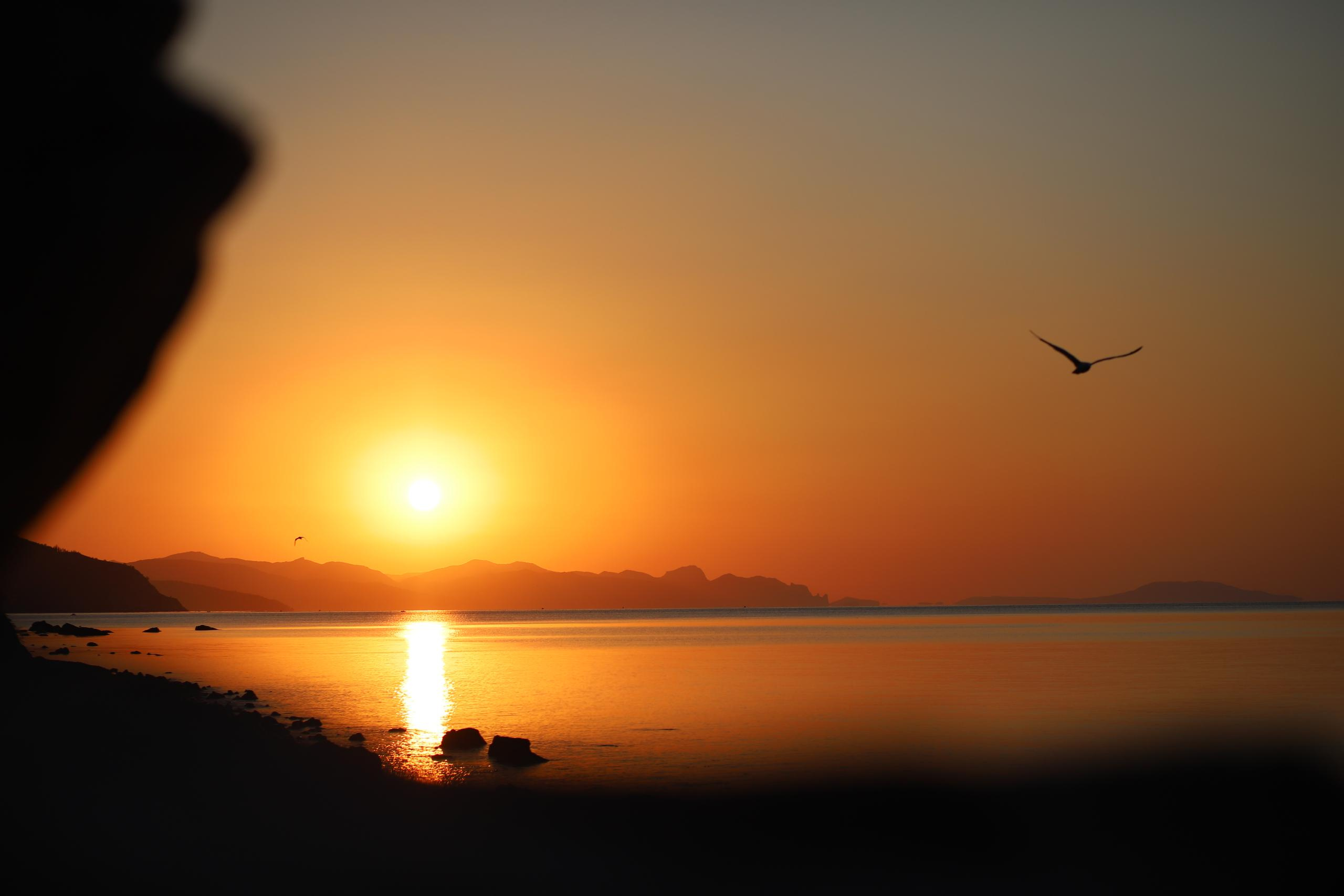 Обо мне. Главная