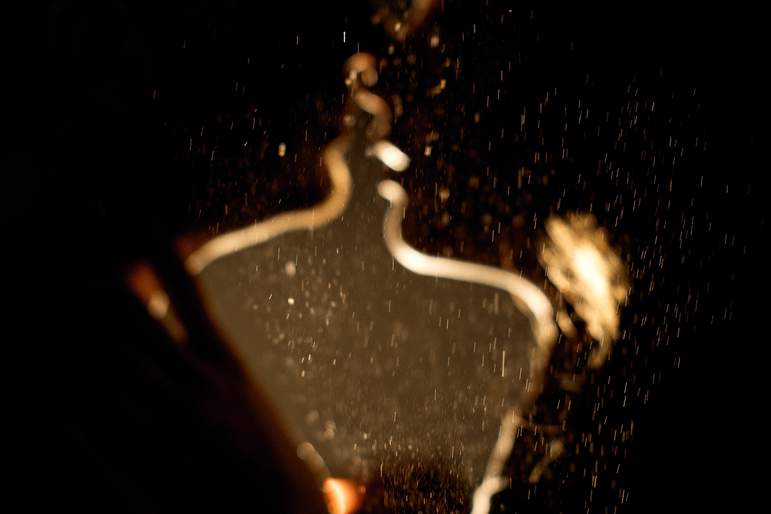 Прогулка с любимым питомцем. Свадебный Фотограф в Челябинске Василий Гладченко