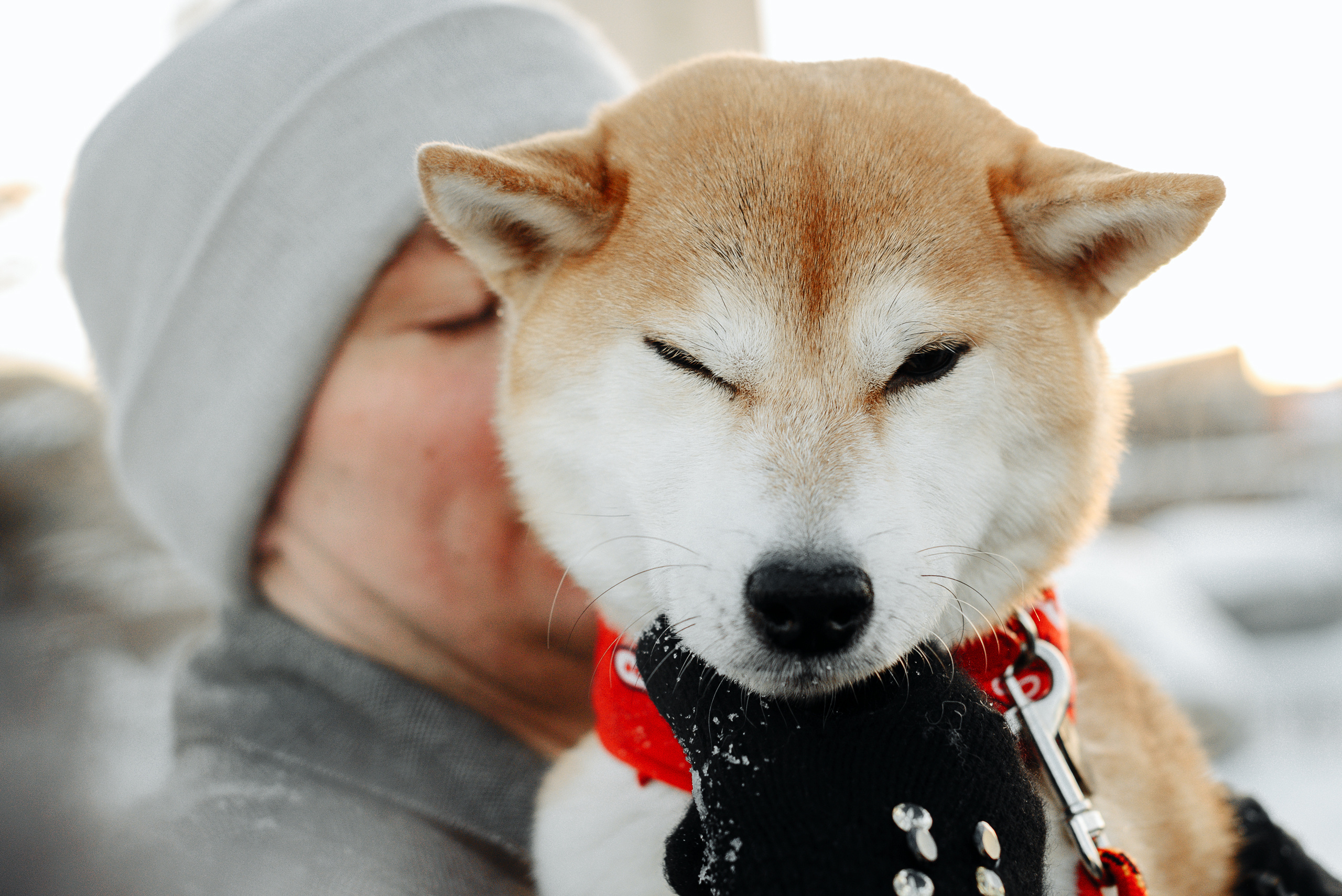 Прогулка с любимым питомцем. Свадебный Фотограф в Челябинске Василий Гладченко