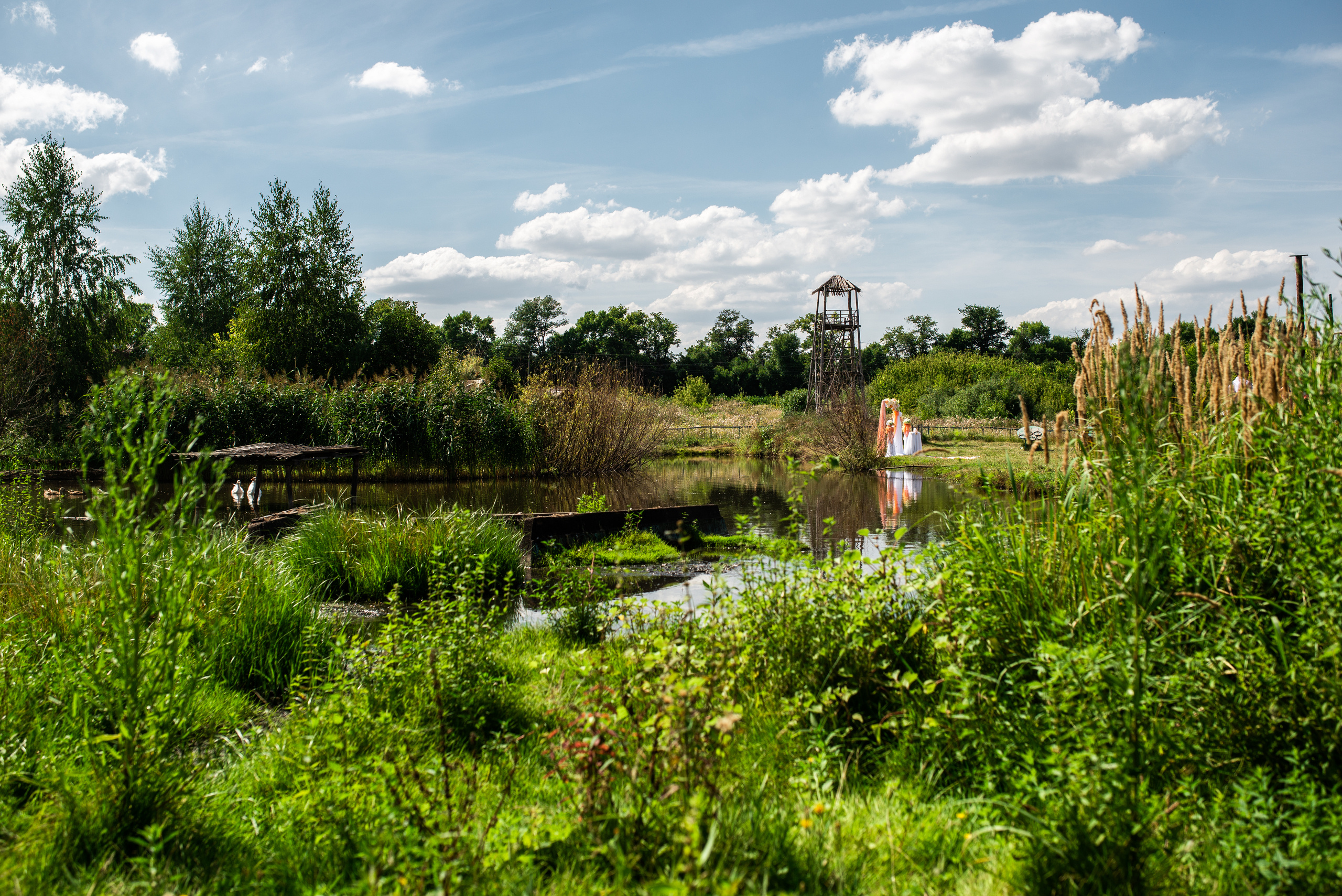 Анонс свадьбы Валентины и Артема от 13го августа 2018. Фотограф Илья Осенко Воронеж