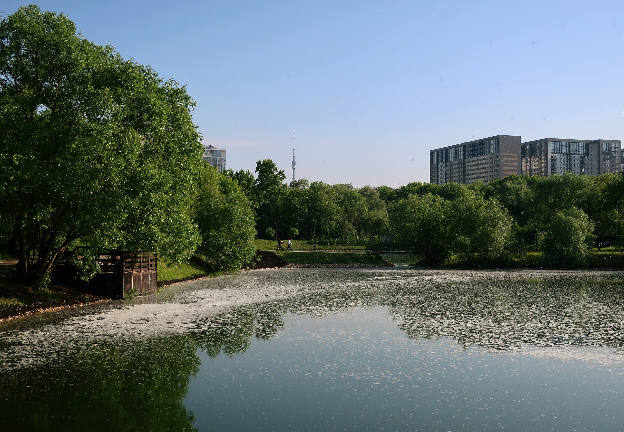 Фотокладовка ТОП-20. Проект «Фотокладовка»: блог уличной фотографии в формате street photo