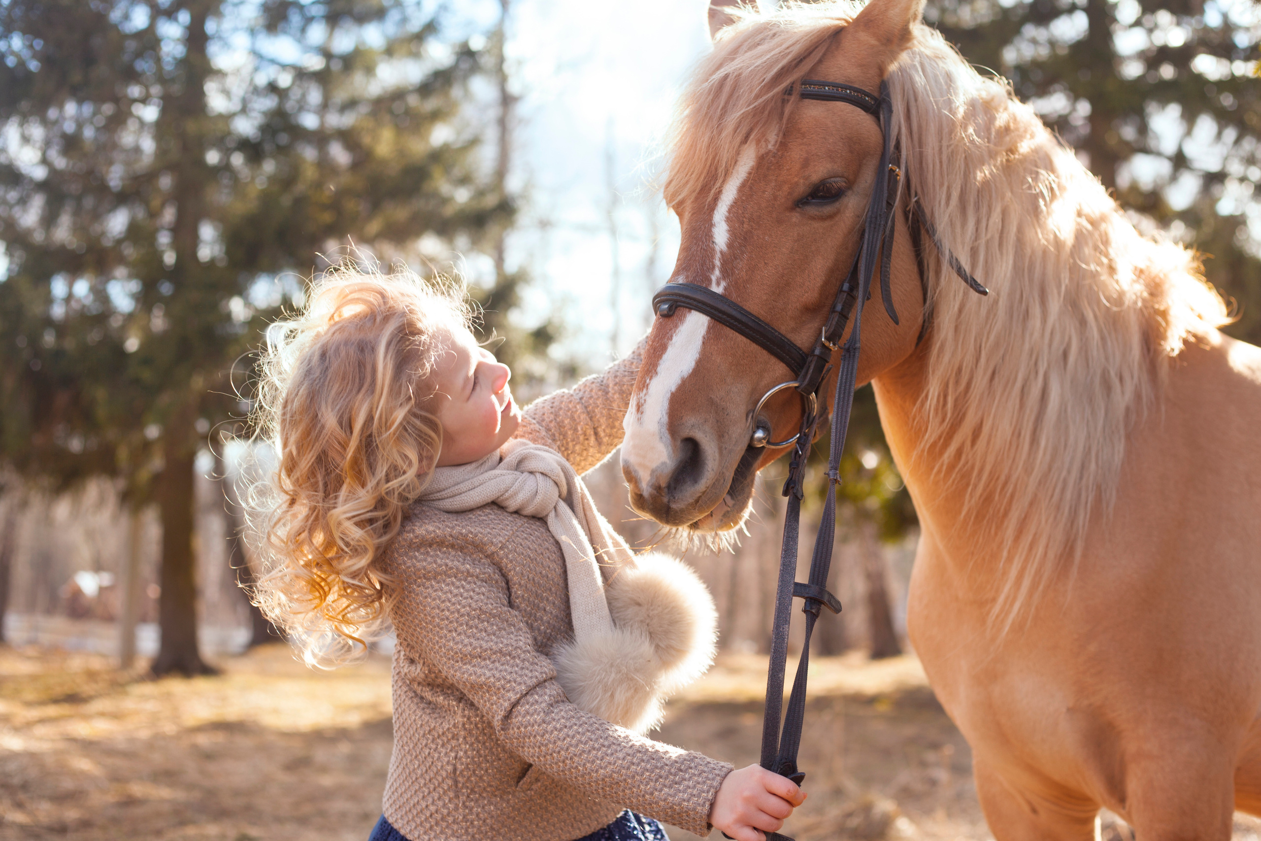 Стоимость. Фотограф Алёна Потёмкина