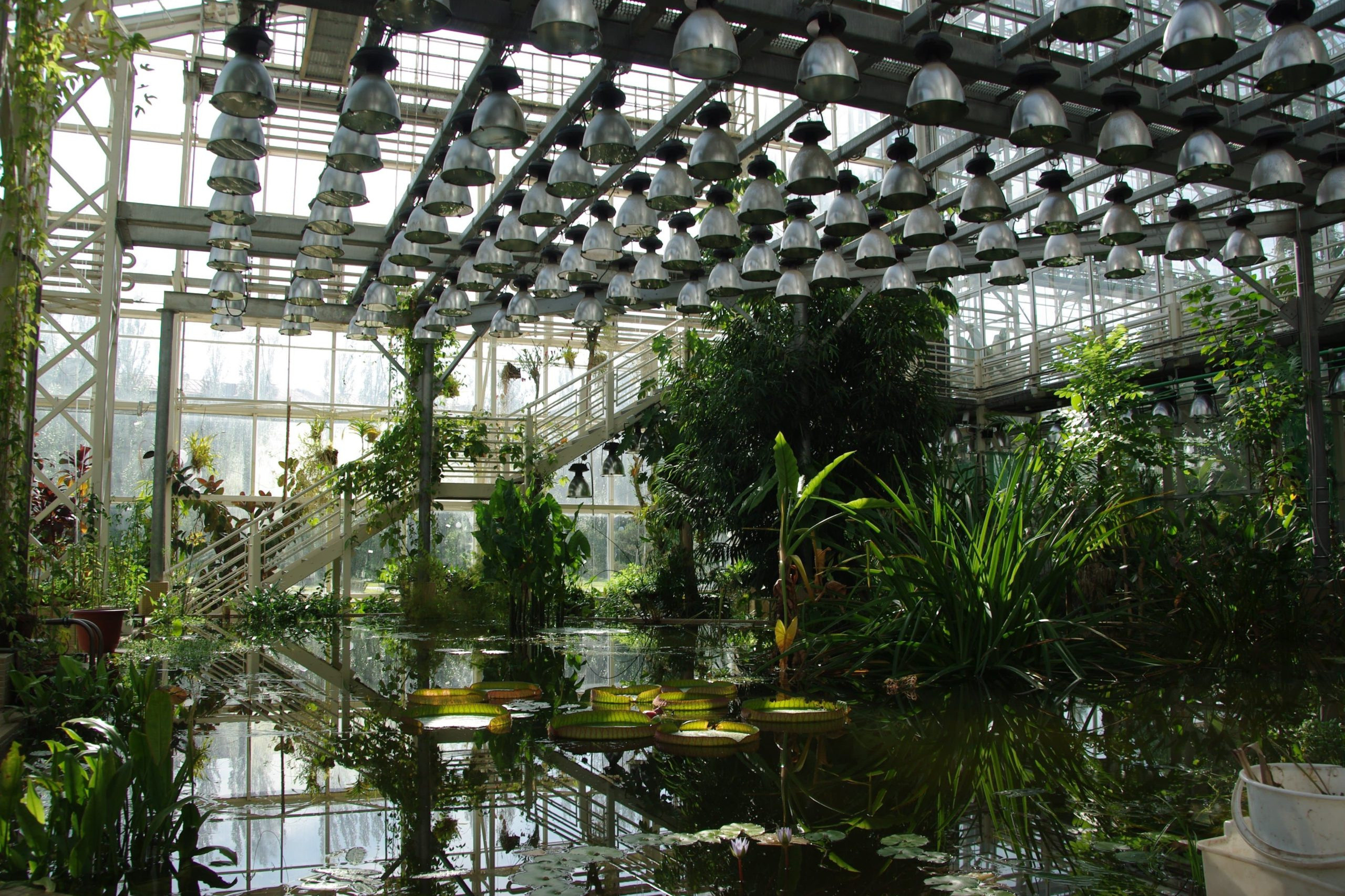 Красивые места для фотосессии. Фото Радости. Свадебный и семейный фотограф в Москве Юлия Самойлова