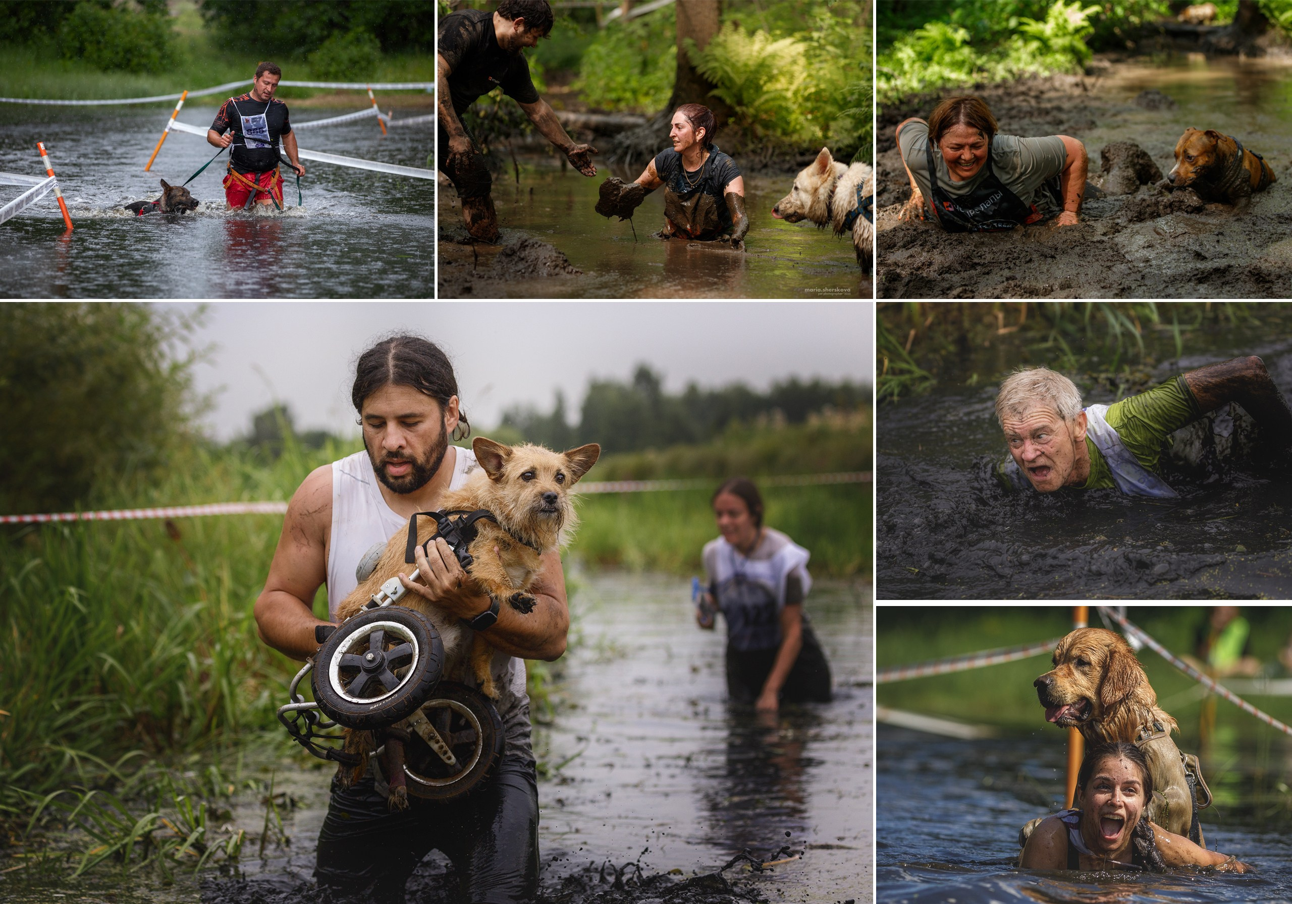Репортаж. Фотограф-анималист в Калуге Мария Шерскова