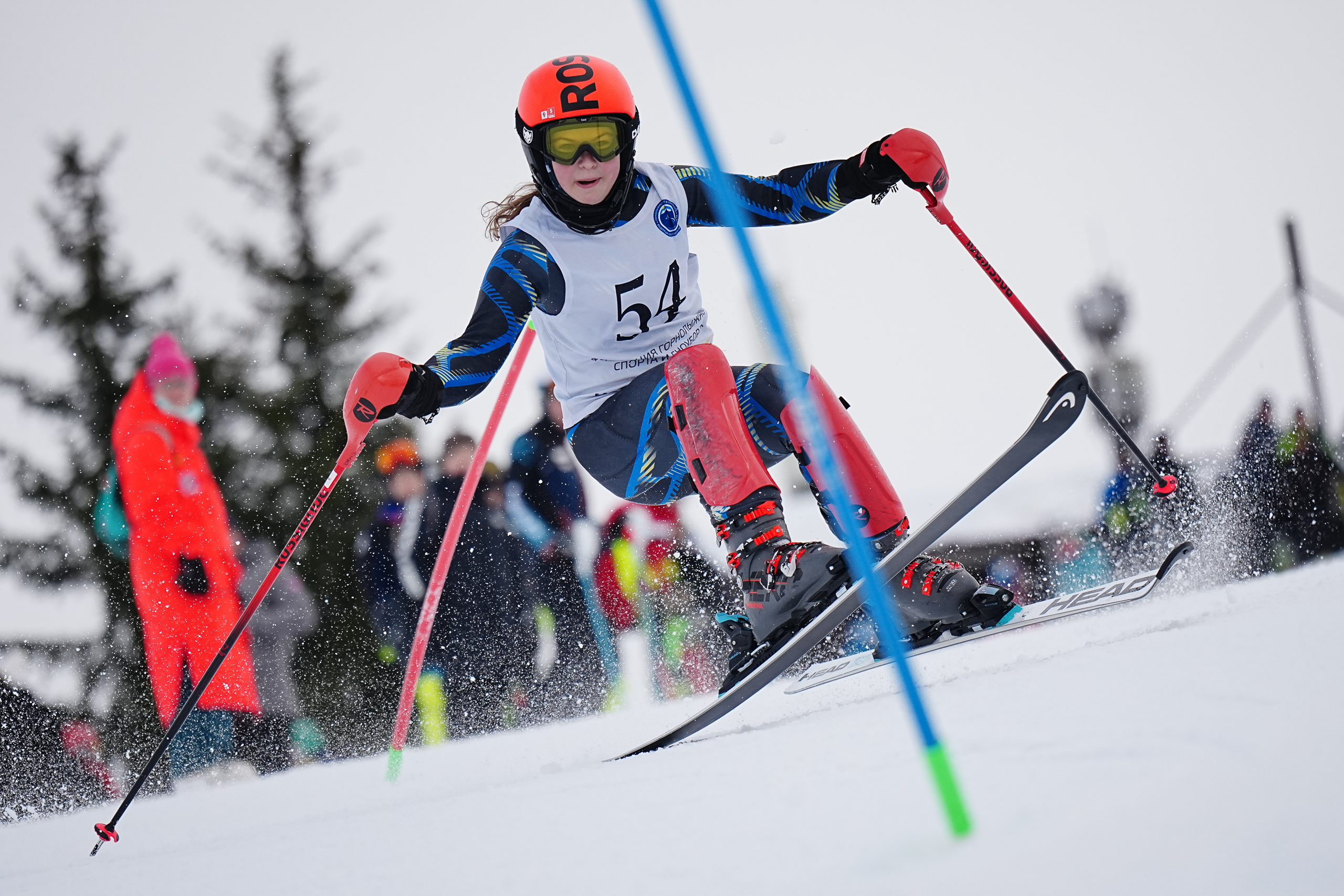 Горные лыжи. Первенство Московской Области