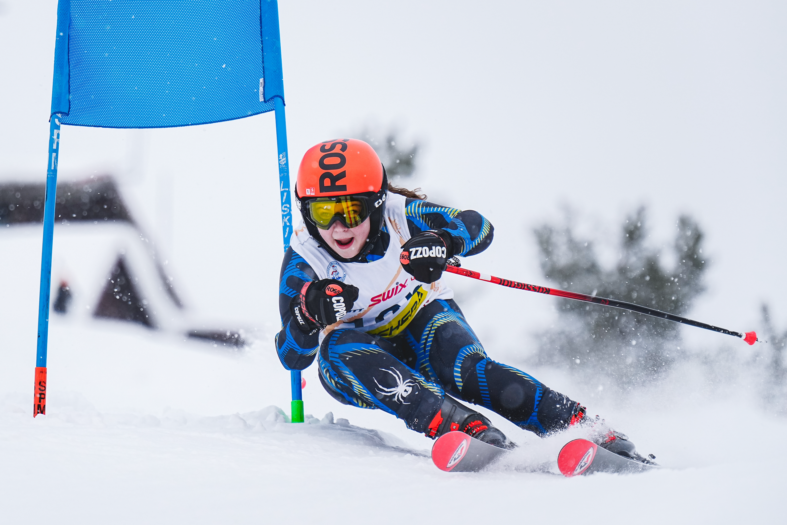 Горные лыжи. Спортивные соревнования Московской области «На&nbsp;приз губернатора» Слалом, слалом-гигант U14, U16
